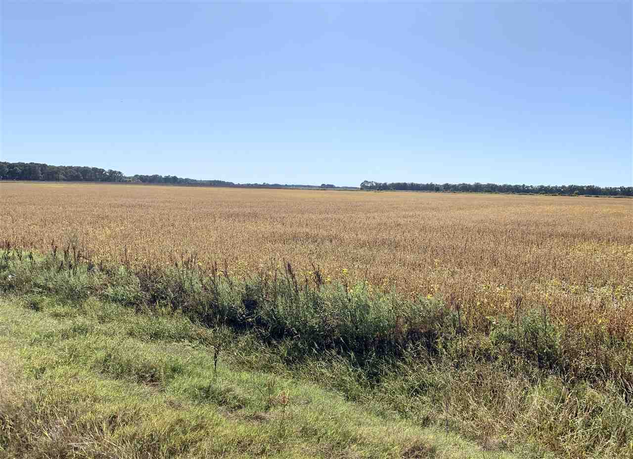 Jackson - Farm