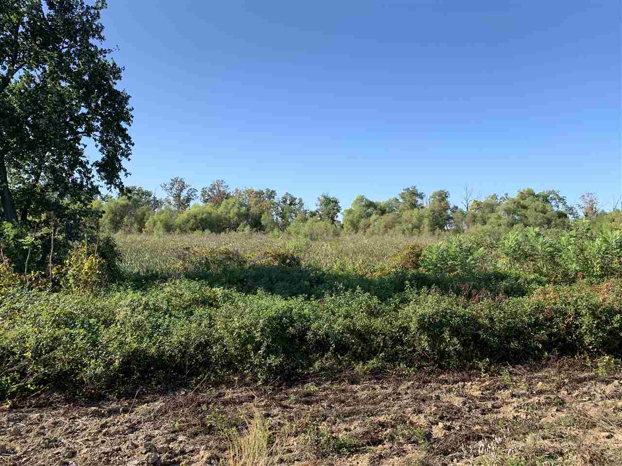 Jackson - Farm