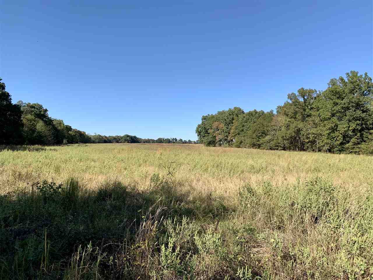 Jackson - Farm