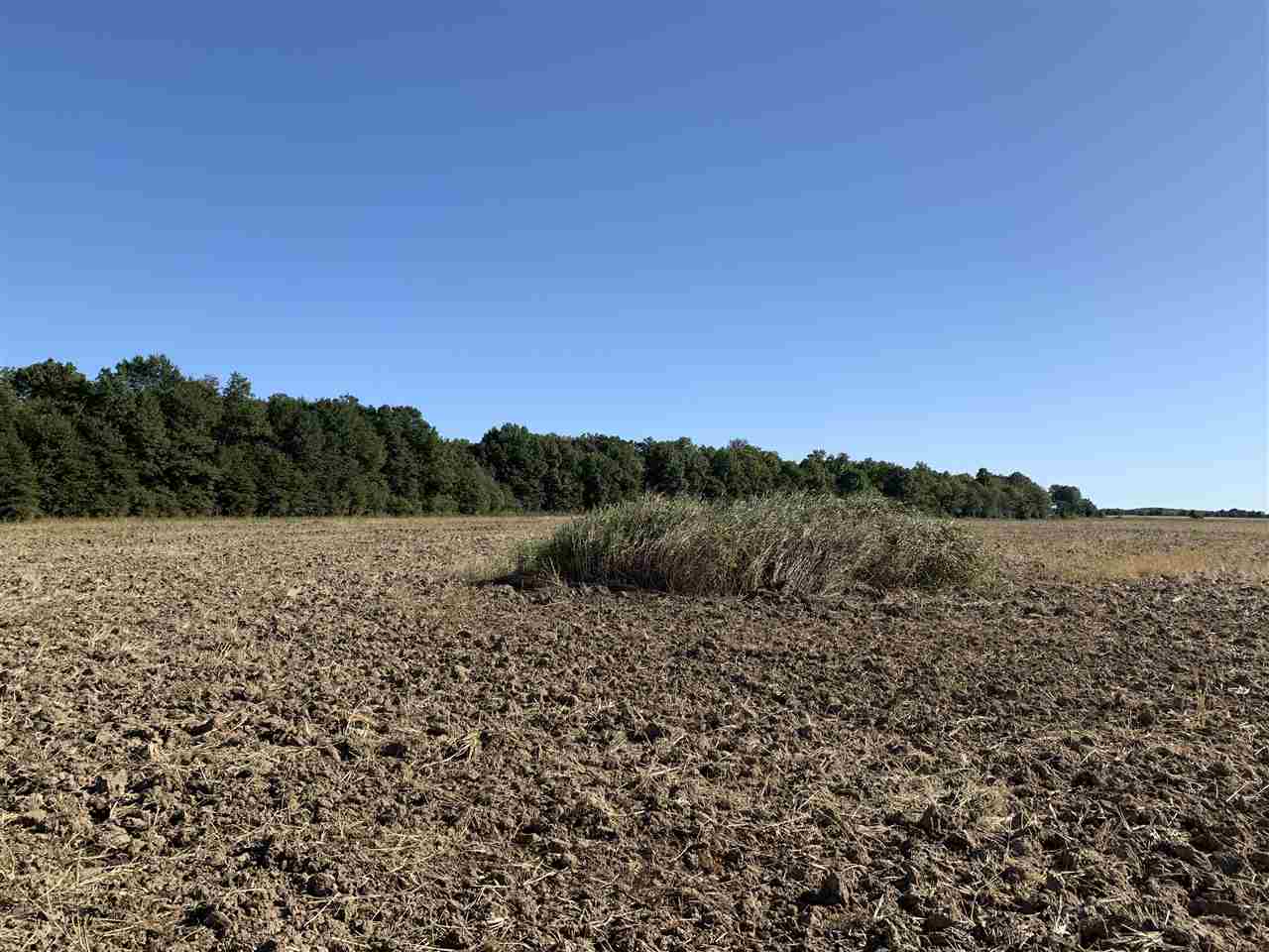 Jackson - Farm