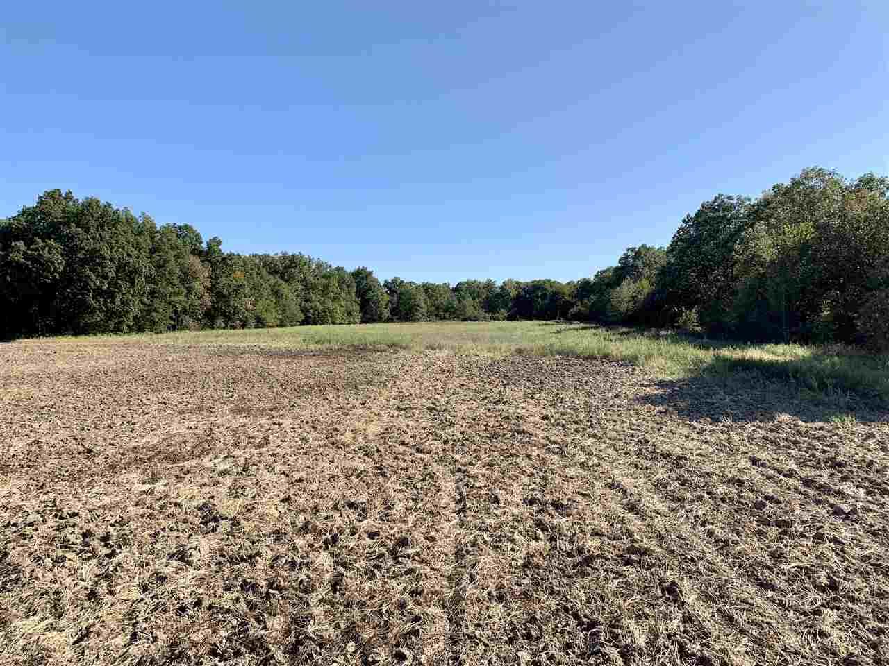 Jackson - Farm