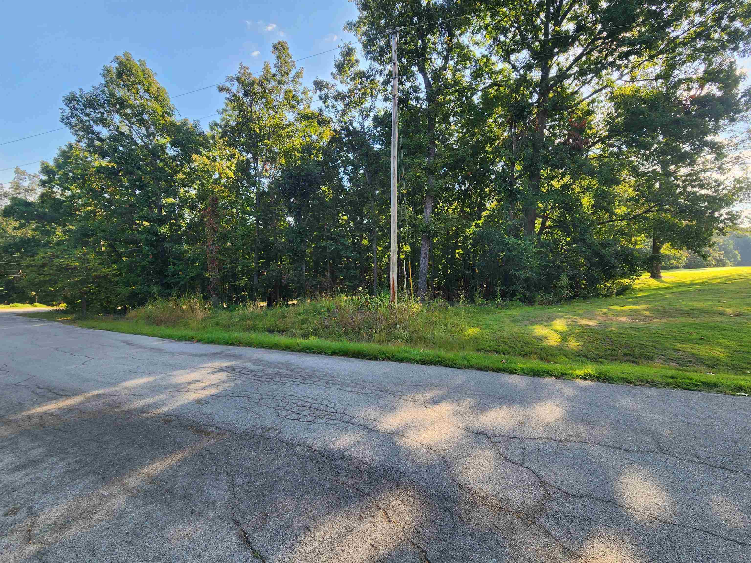 This is a must-see gorgeous Corner Lot- Golf Course Lot, backing up to the Tee box of the 16th hole on the beautiful South Course. What a location! Come see this beautiful lot and pick out your building site for your new Golf course home. Nice upward slope to give you the maximum view of the back 9 turn from your deck or even from the windows of your new home. You can watch the Tee boxes of the 14th and 16th holes as well the greens of the 13th, 15th and 16th holes. Cherokee Village has 7 lakes, two 18-hole golf courses and the beautiful Southfork River to enjoy the outdoors.