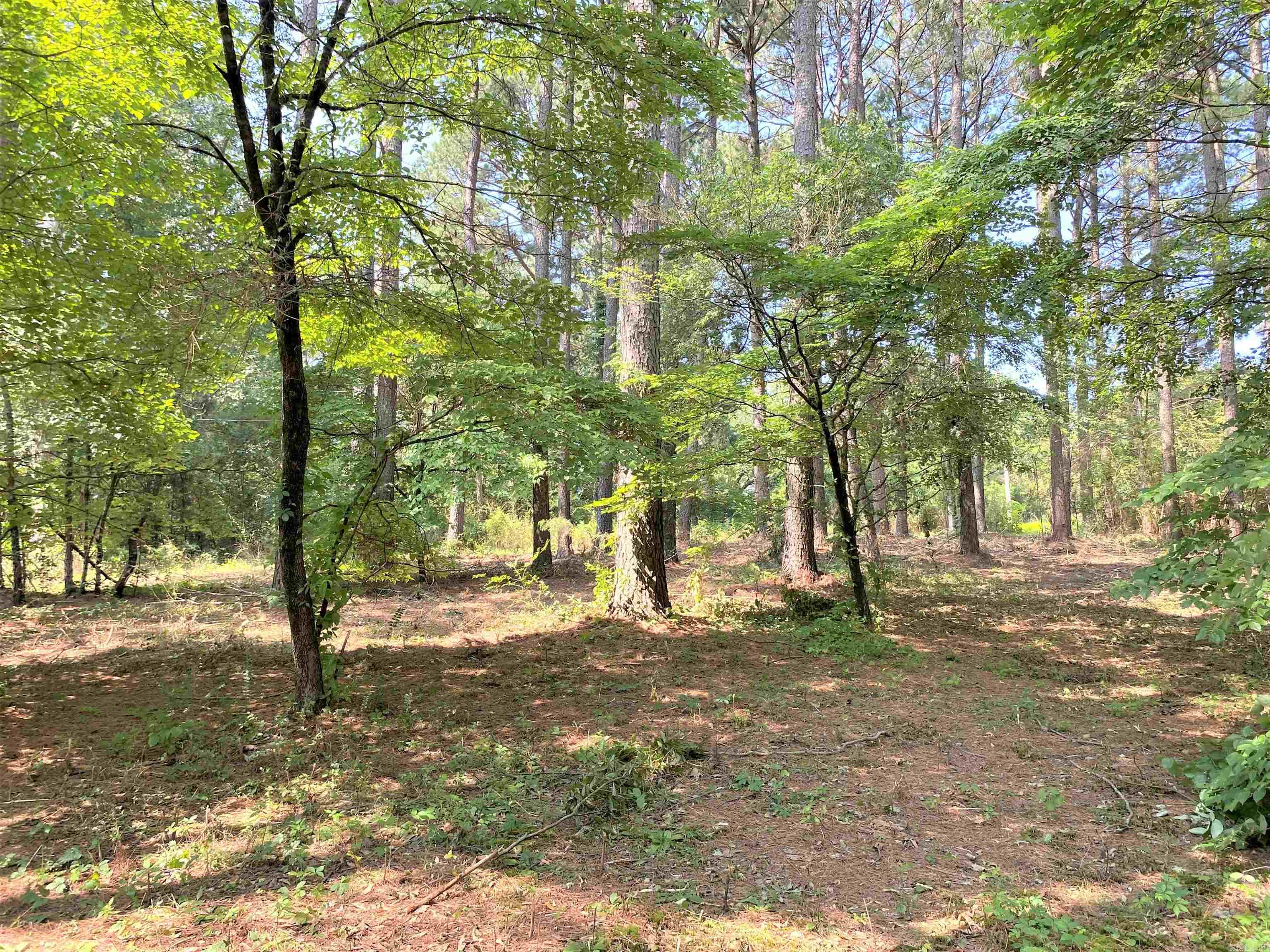 Cedar Glades - Land