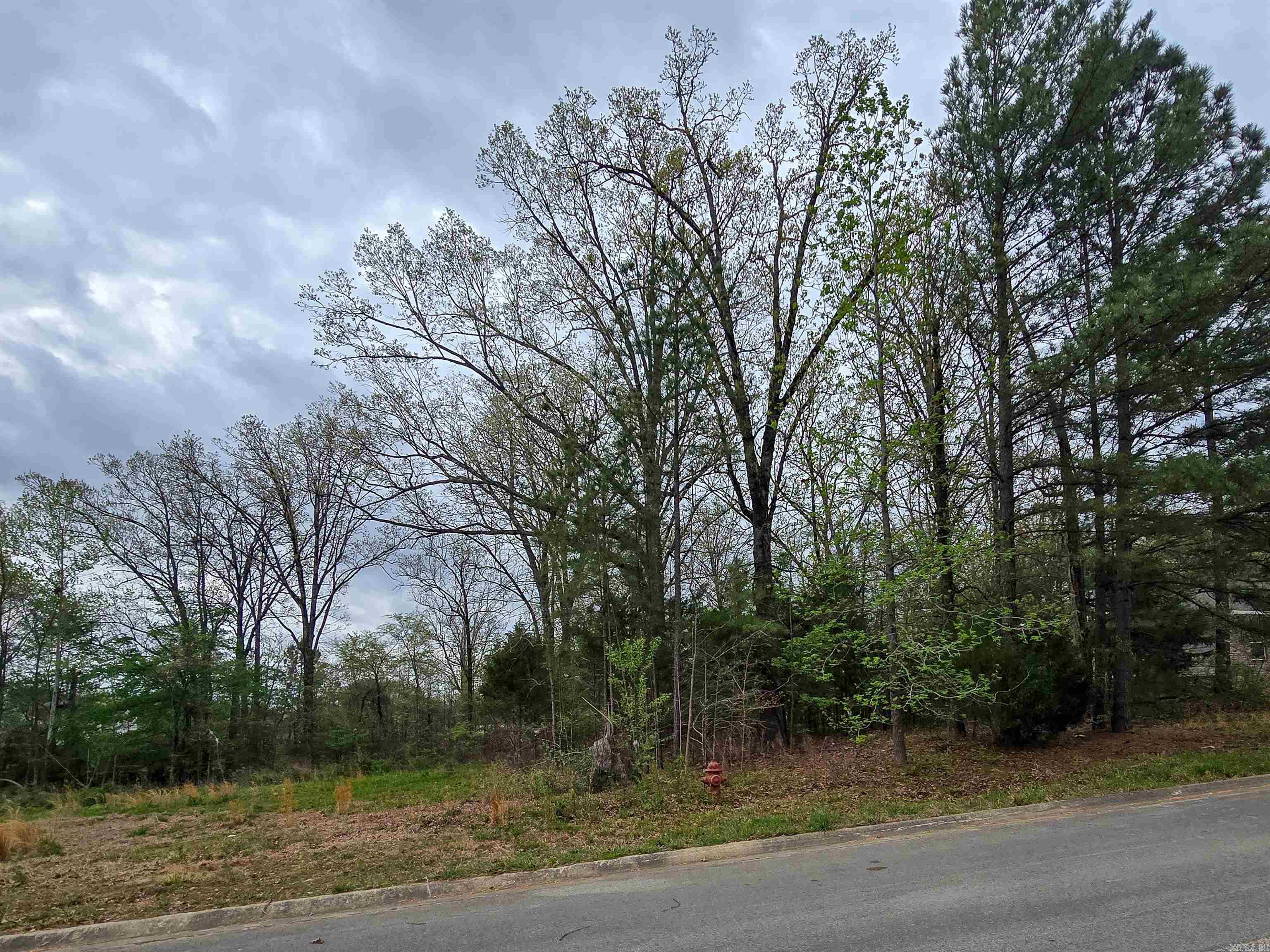 Shady Valley Estates - Land