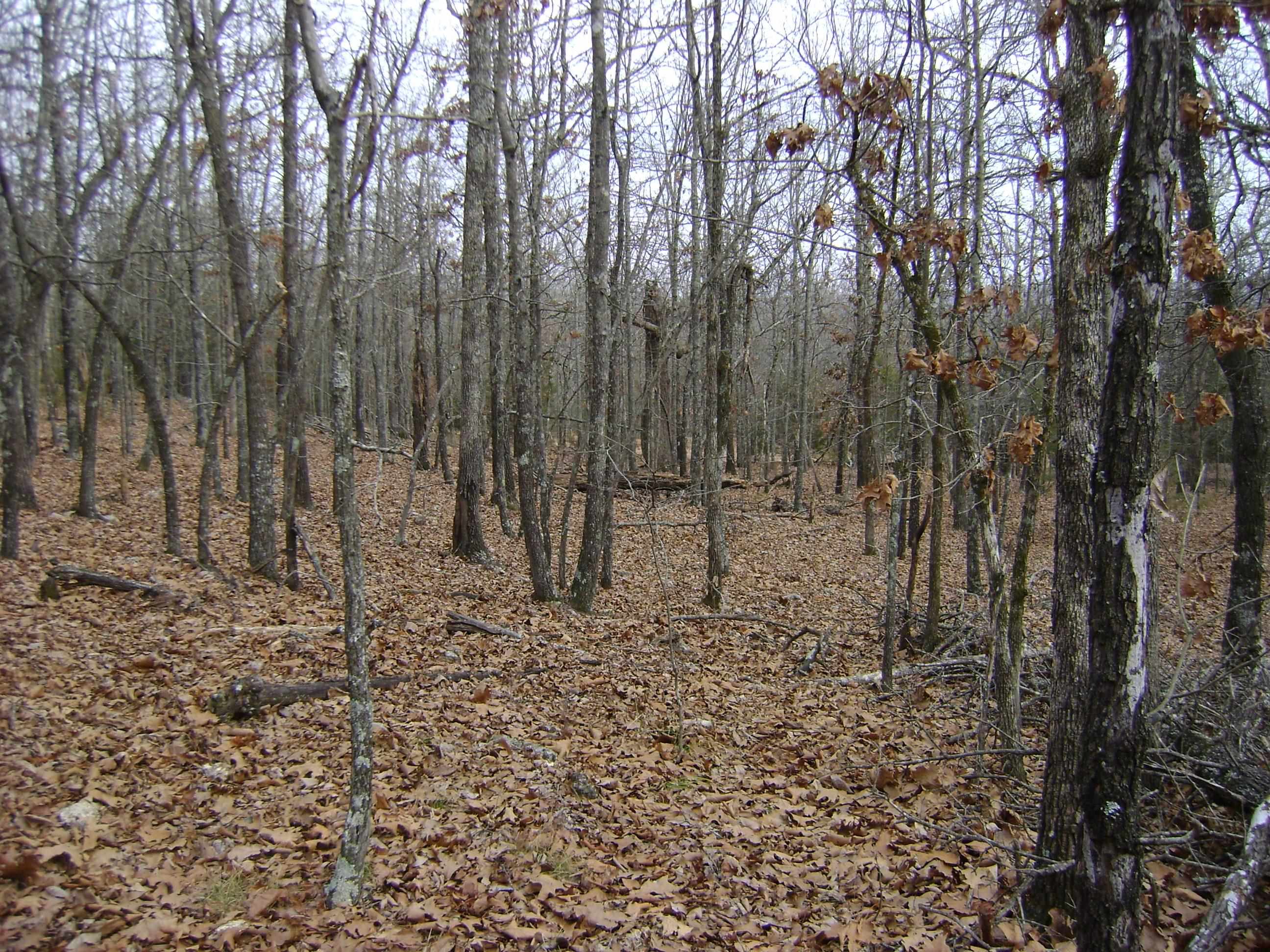 Cedar Acres - Land