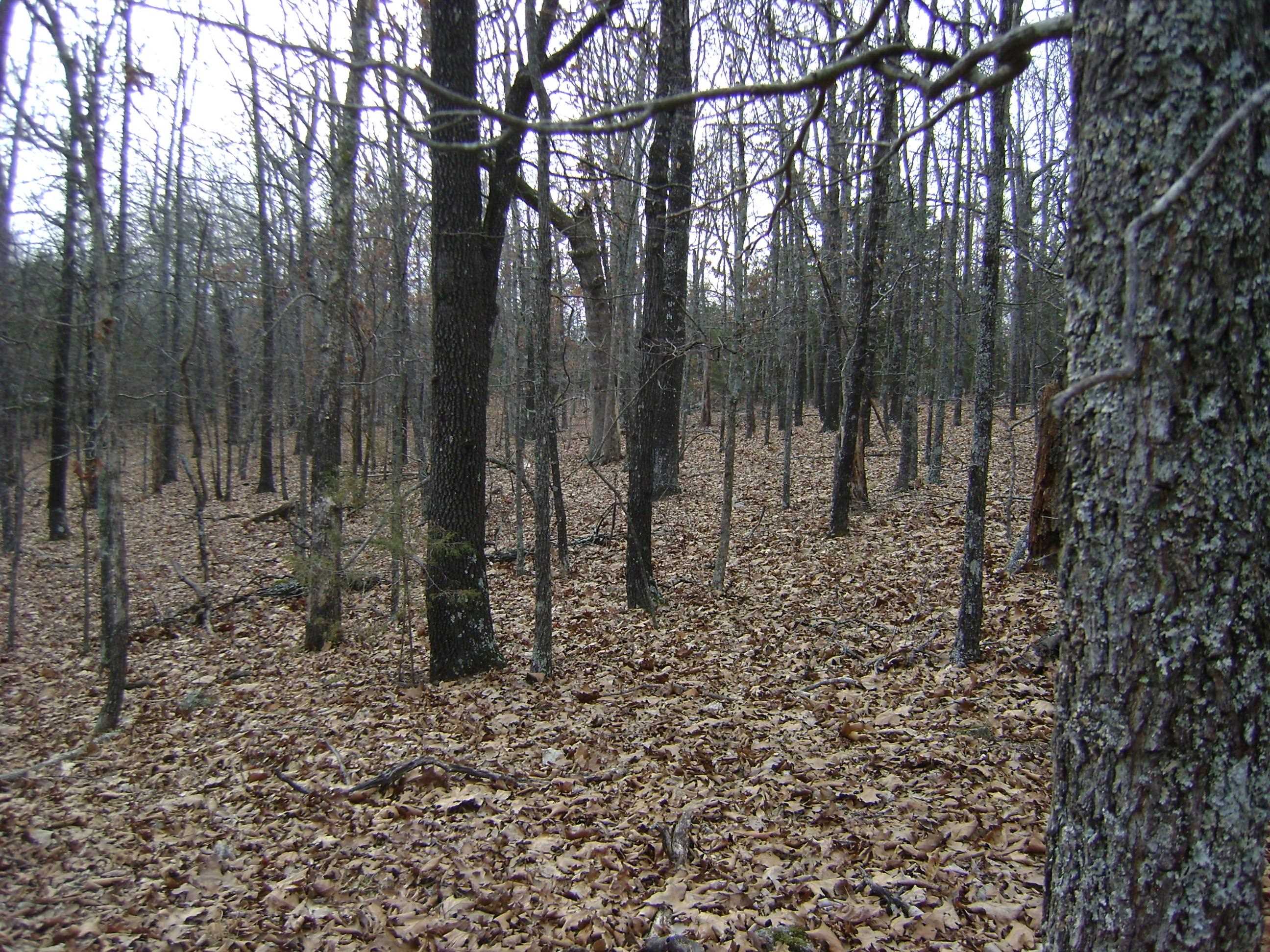 Cedar Acres - Land