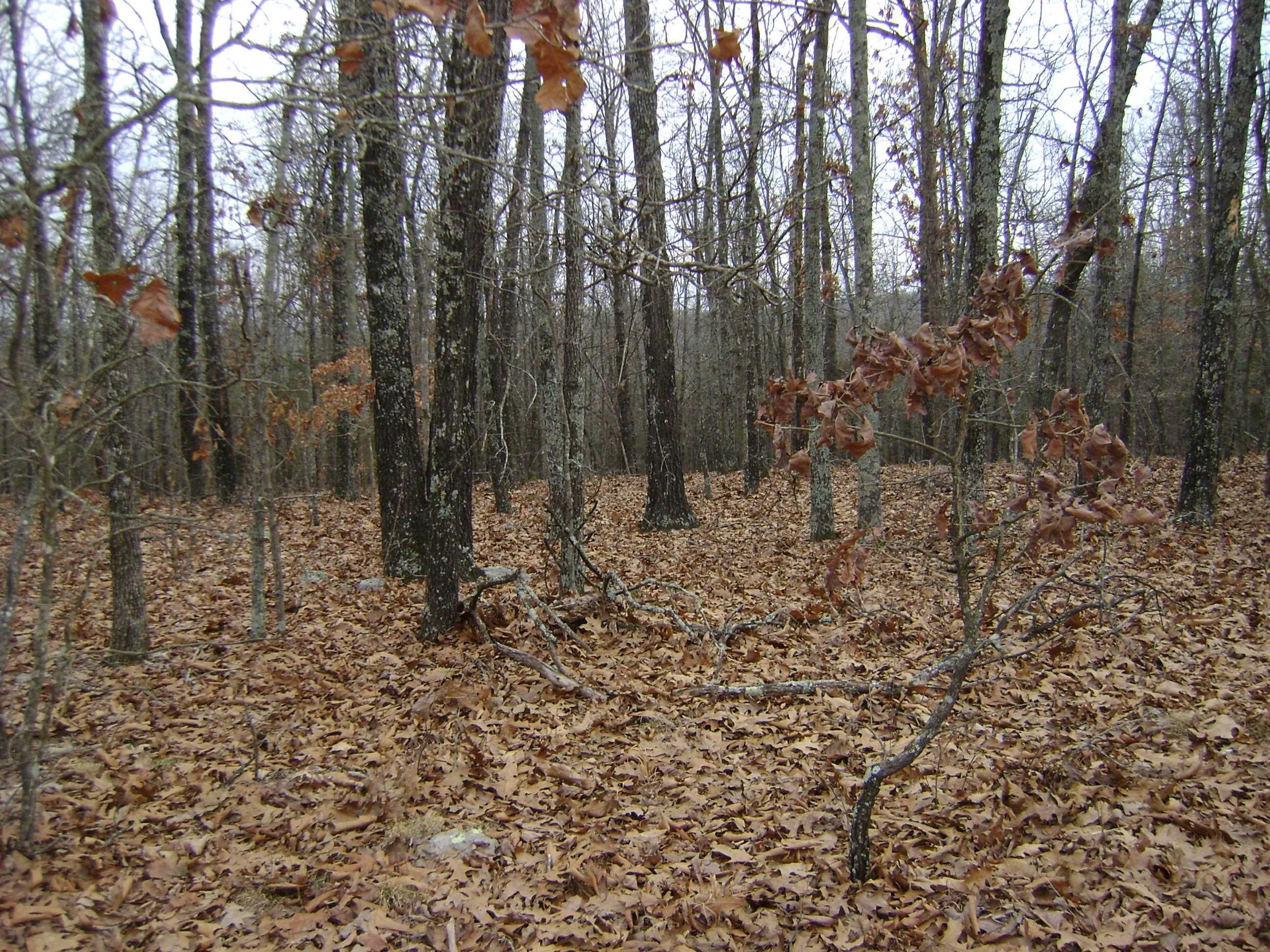 Cedar Acres - Land