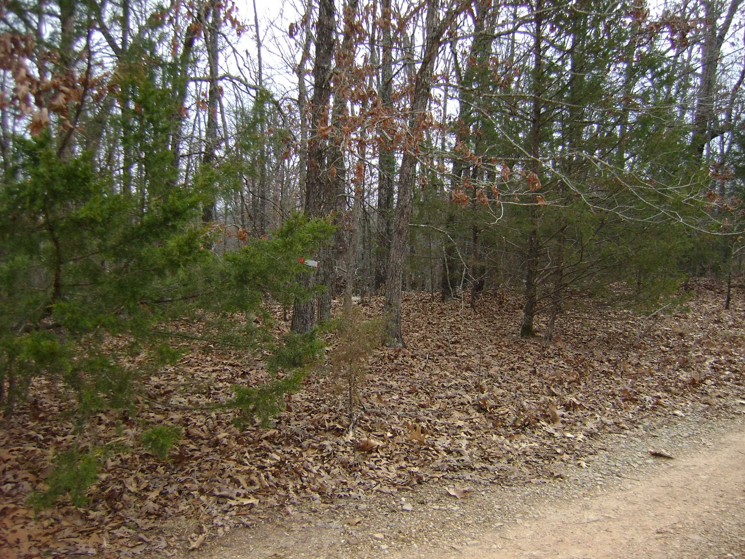 Cedar Acres - Land