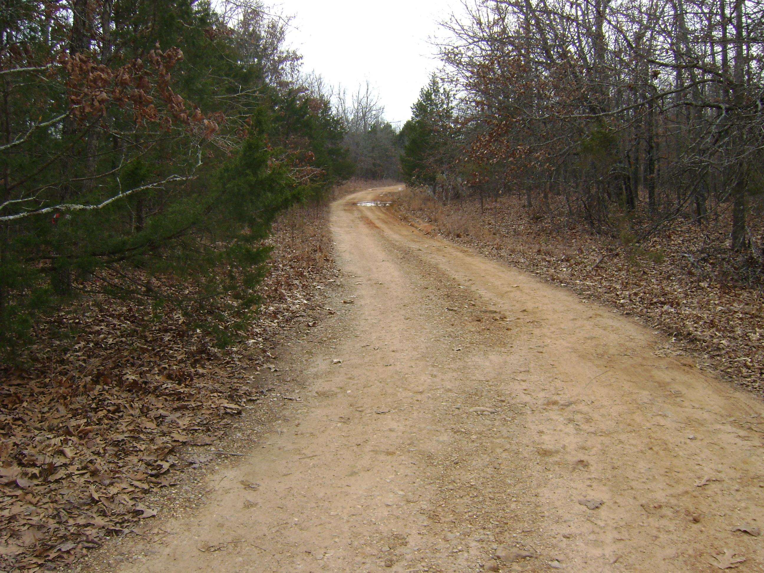 Cedar Acres - Land