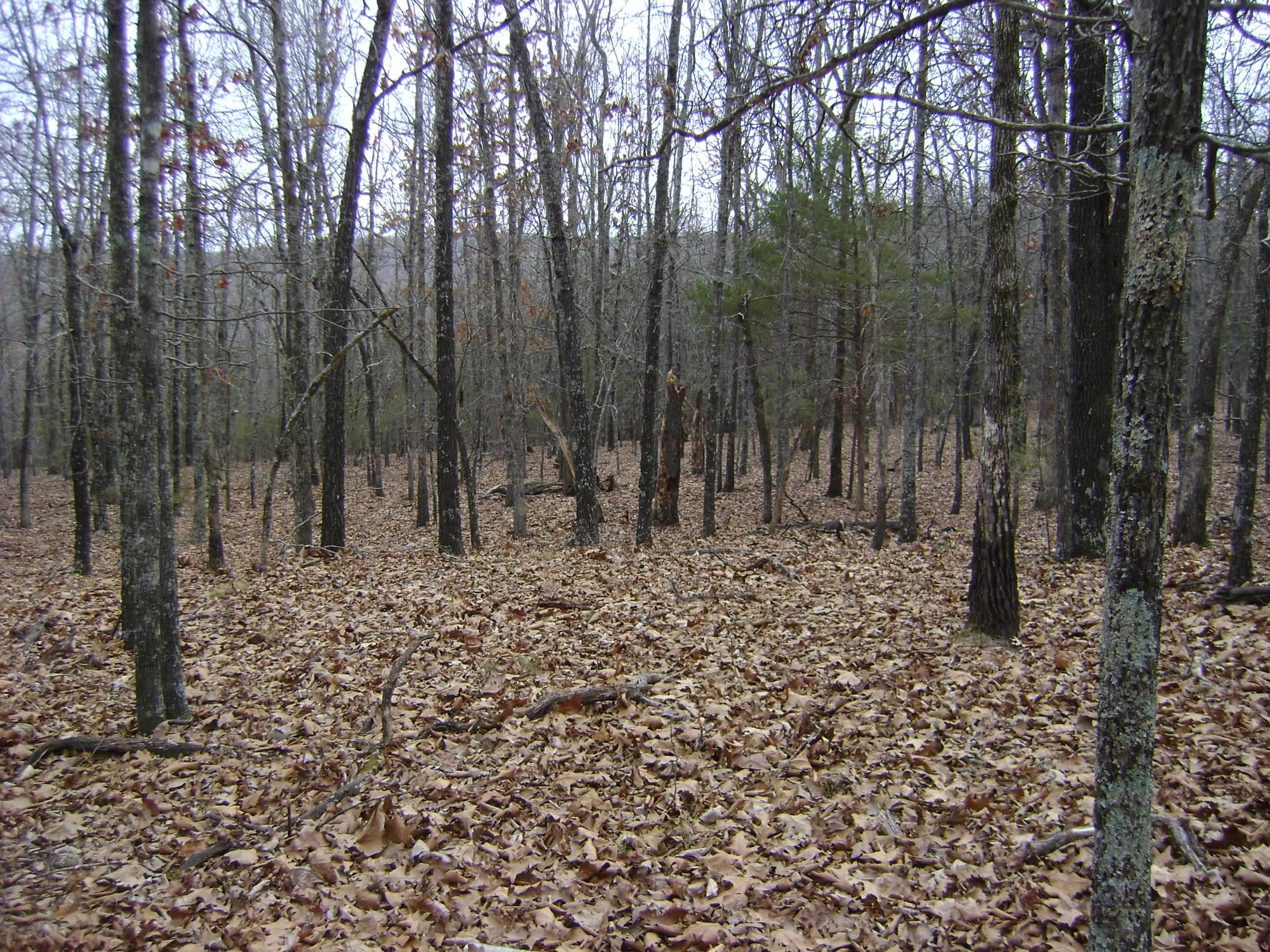 Cedar Acres - Land