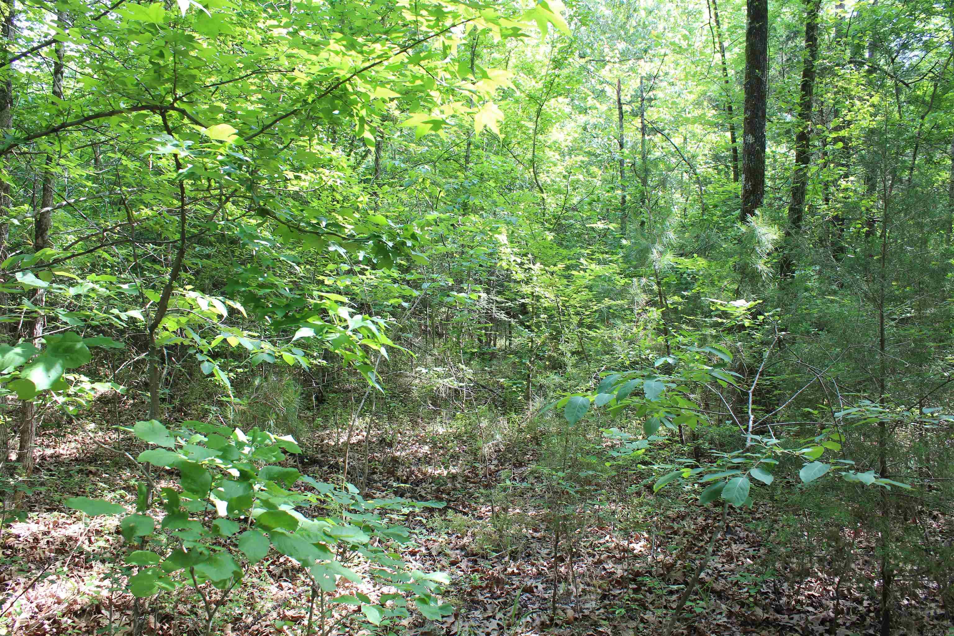 Not in Subdivision - Land