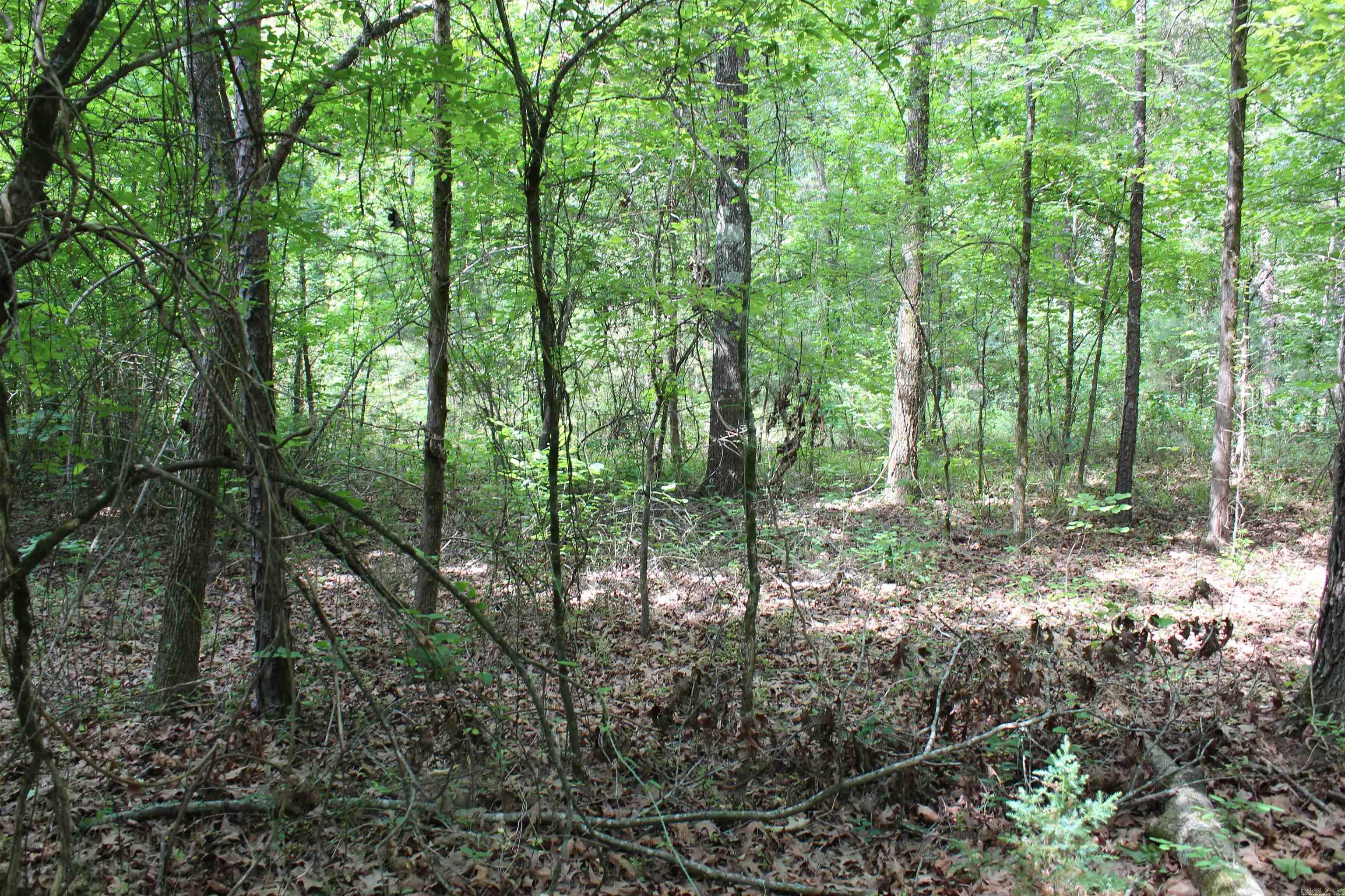 Not in Subdivision - Land