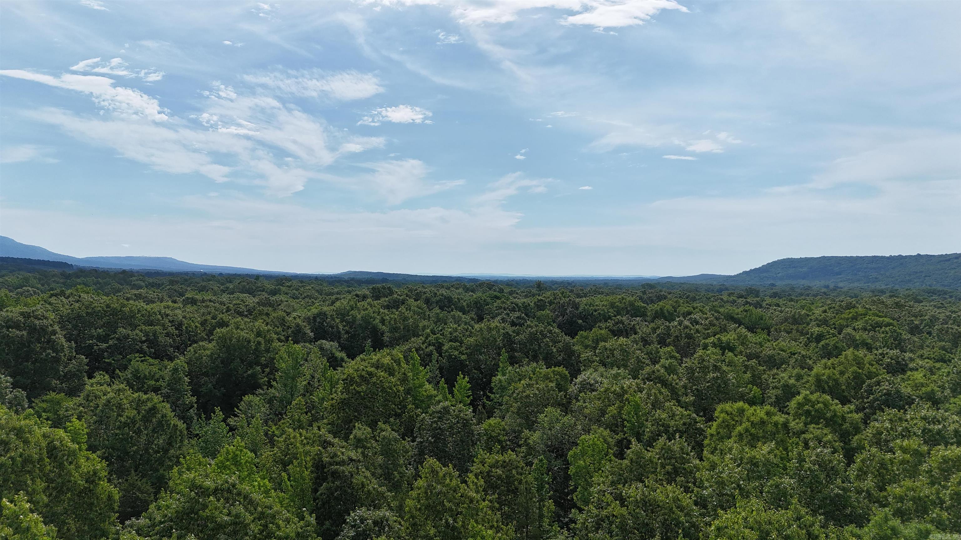10+/- acre build site in Yell County  Tract 2 of 5, a 10+/- acre building site, is conveniently situated between Dardanelle and Danville. The property is located on County Road 426, west of Dardanelle. Comprised of young growth pine and hardwoods, the clearing required for a homesite will be minimal. The property is positioned 0.2 miles from the Ozark National Forest, providing abundant hunting and recreational opportunities directly accessible from the location. Subject to final survey.