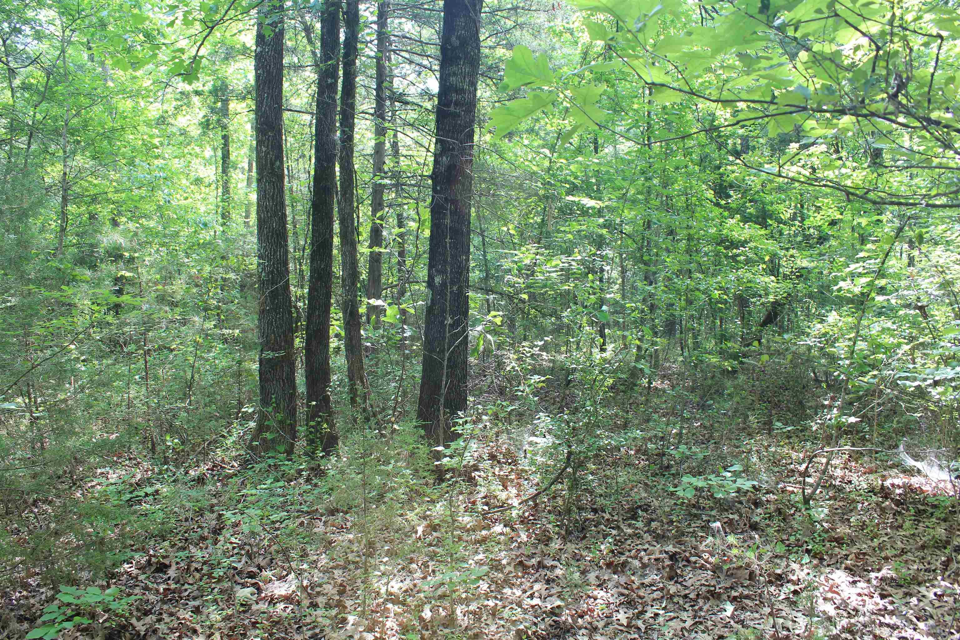 Not in Subdivision - Land