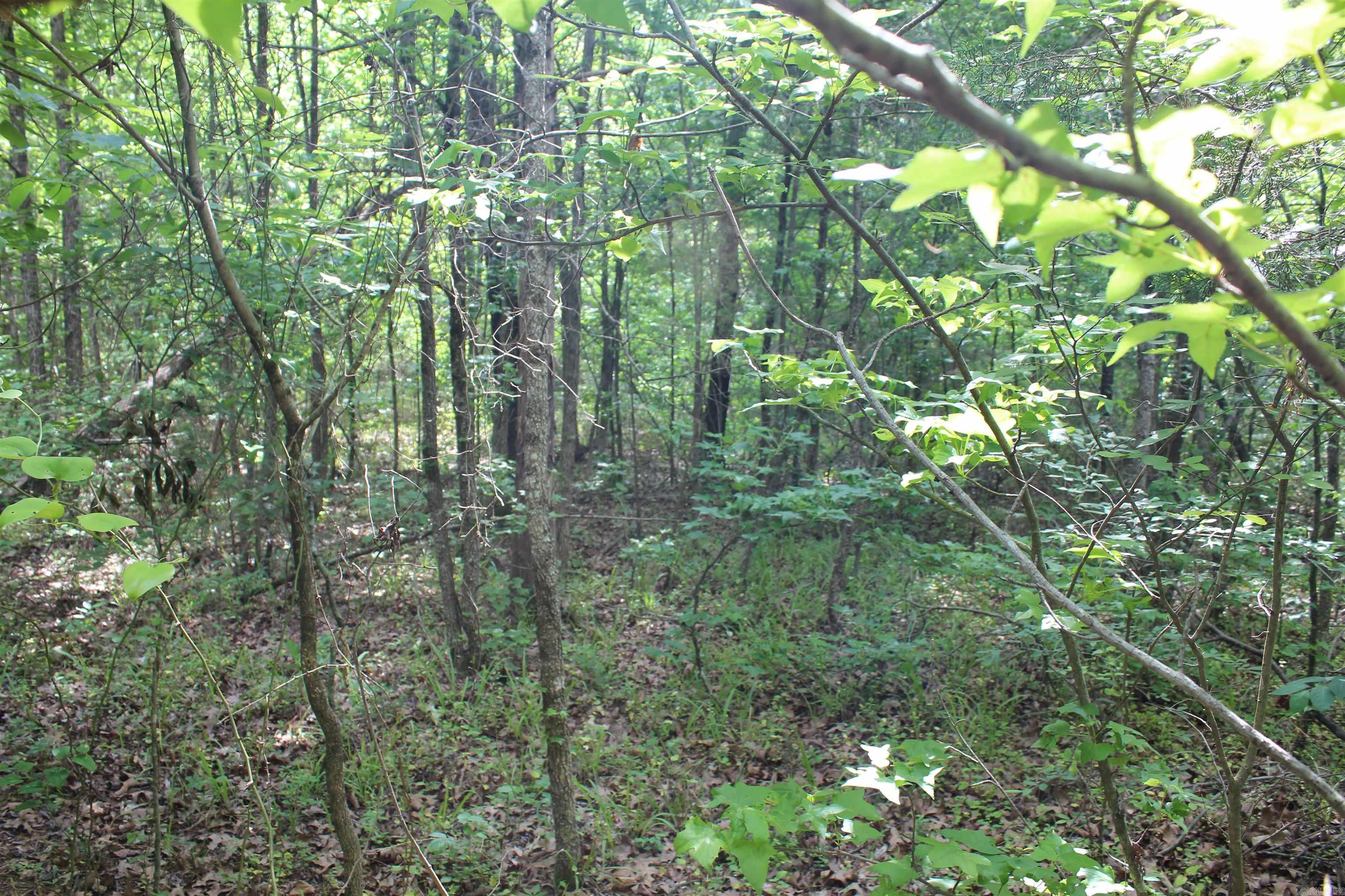 Not in Subdivision - Land