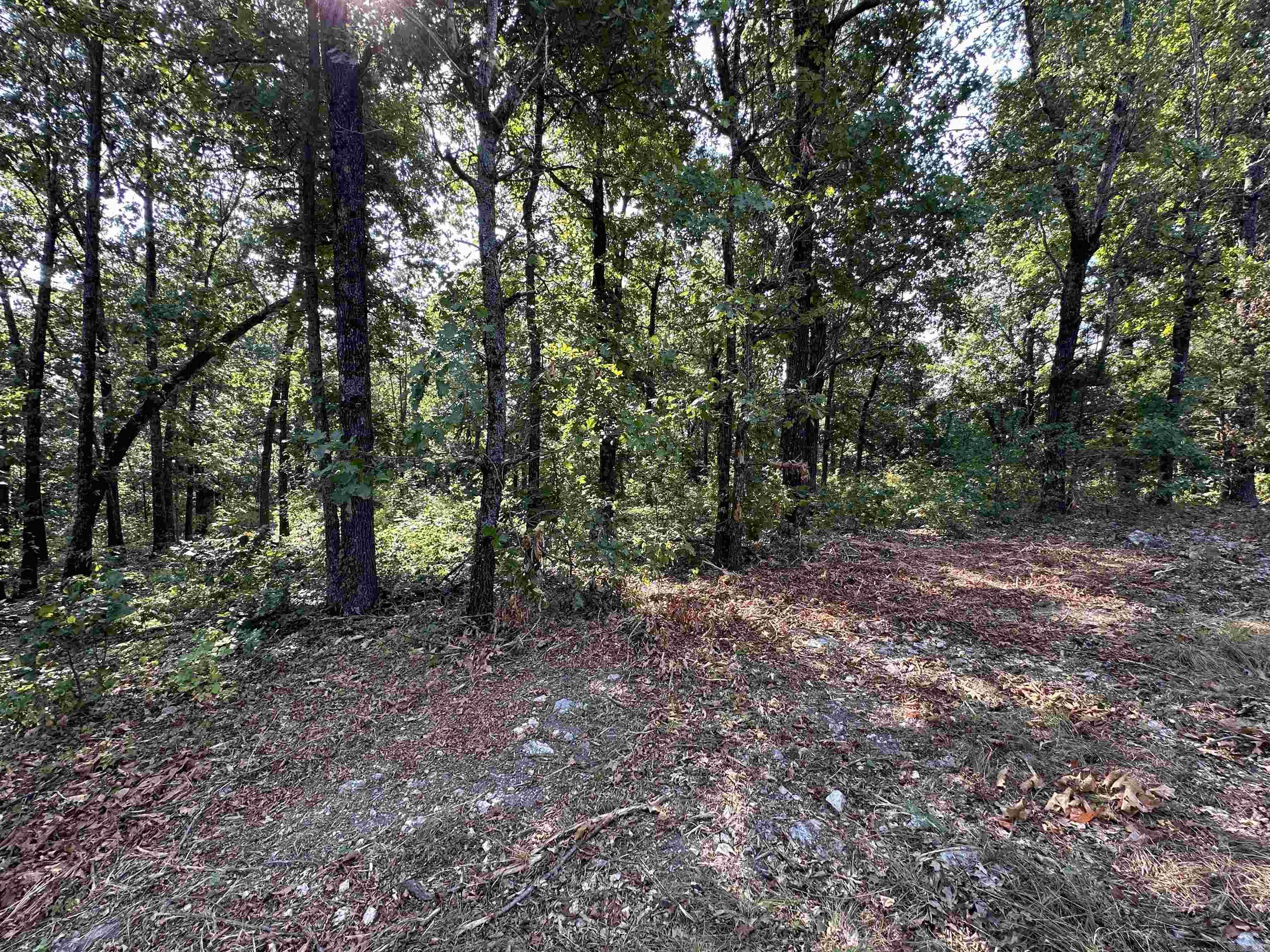 Discover 1.2 acres made up of three wooded lots in the heart of Horseshoe Bend, Arkansas. With paved road frontage and just minutes from the Turkey Mountain Golf Course, this property combines convenience with natural beauty. The land is wooded, offering privacy and shade, while still being ideal for clearing to build your dream home. Whether you’re planning a permanent residence or a vacation getaway, this property provides a peaceful setting with quick access to all the amenities Horseshoe Bend has to offer.