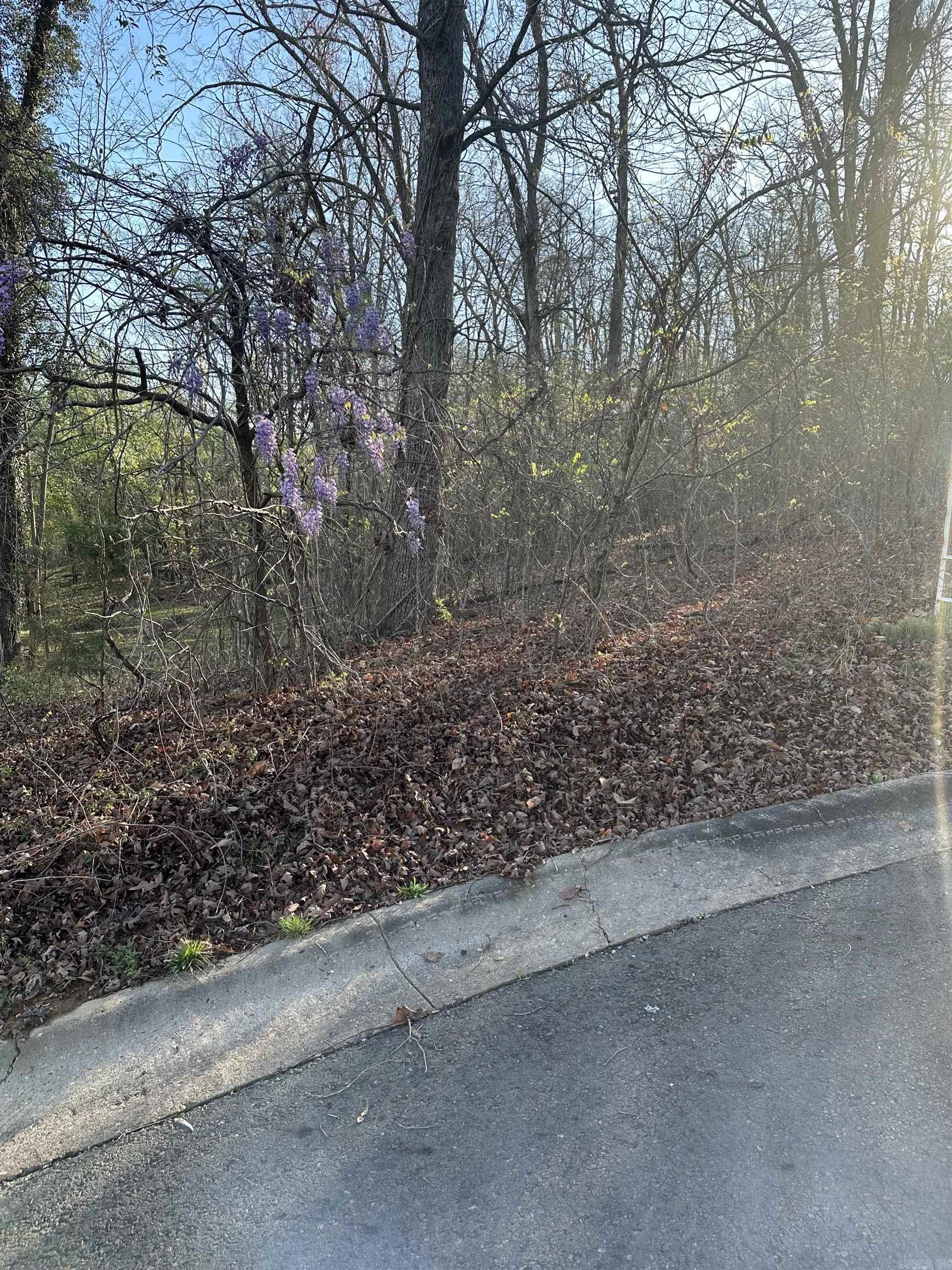 Deanwood Heights - Land