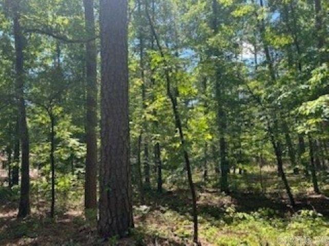 Peaceful Cul-de-Sac Lot in Hot Springs Village, AR – Ideal for Your Dream Home or Next Build  Located in the serene and highly sought-after Hot Springs Village, this level lot sits at the end of a quiet cul-de-sac, offering privacy with just one immediate neighbor and a few homes visible in the distance. It’s the perfect setting to build your dream home or a great opportunity for builders seeking their next project site.  Hot Springs Village offers a wealth of amenities including golf courses, lakes, trails, and a welcoming community atmosphere.   Don’t miss out on this prime location—lots like this don’t last long. Come see it today and start planning your future!