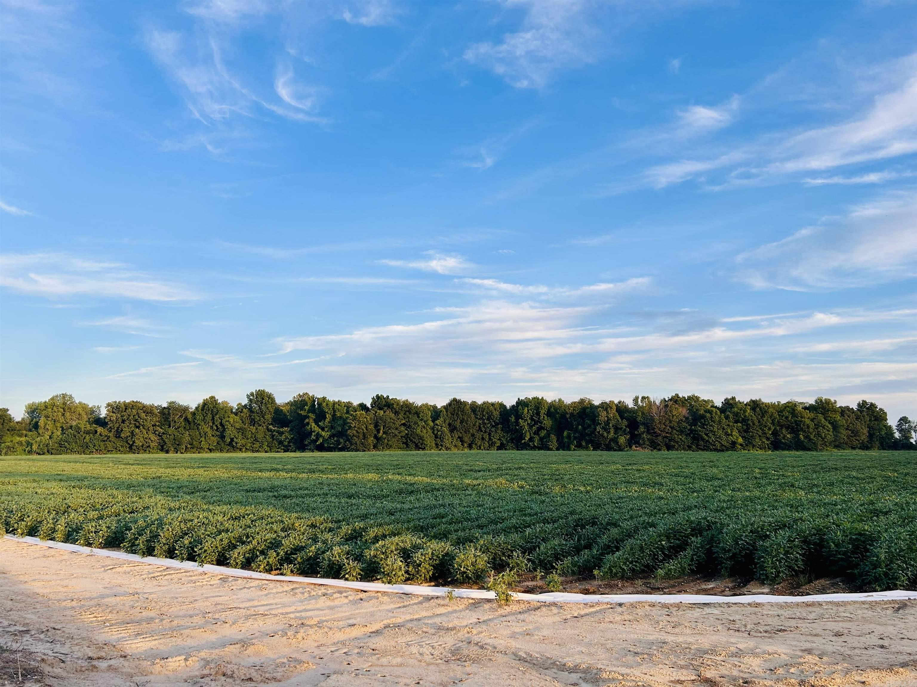 Not in Subdivision - Farm