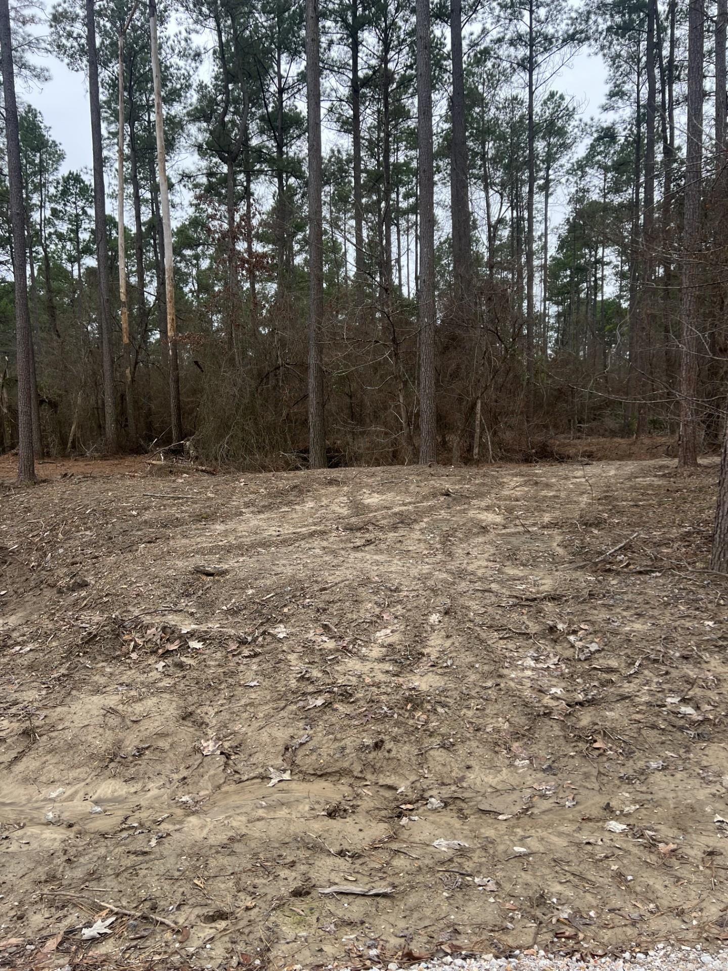 Beautiful acreage near Lake DeGray featuring a mix of cleared land and valuable pine & hardwood timber, the standing timber is estimated to be worth $40K or more. A partial road has been installed and homesite placed cleared. Utilities improvements have been underway for electricity and water access. With no restrictions, this property offers endless possibilities for a permanent residence, weekend retreat, hunting property or recreational getaway.