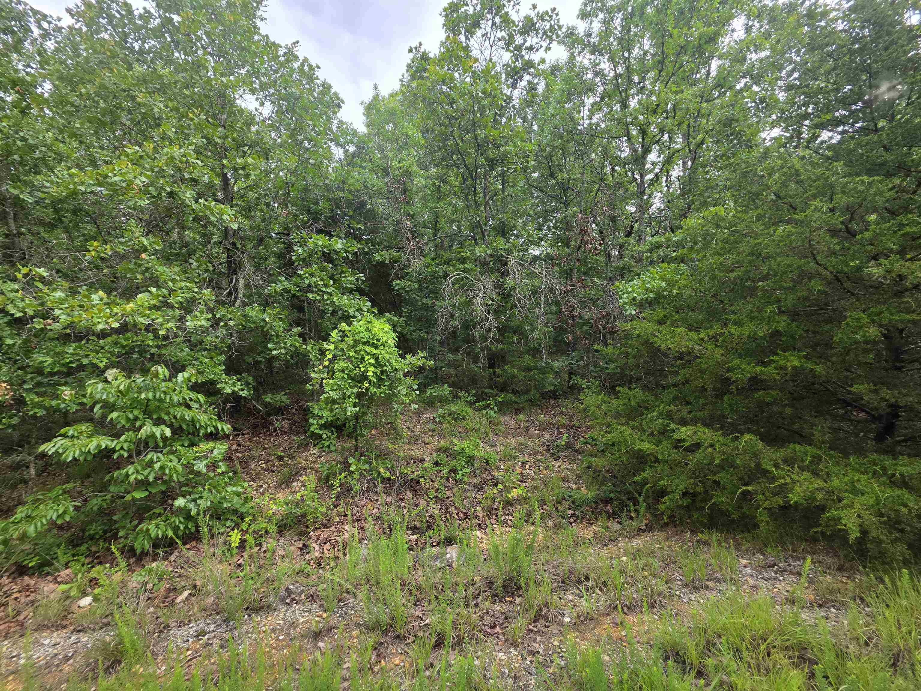 Secluded lot located on the West side of Cherokee Village. Near the South Golf Course and close to Lake Omaha but hidden away in the seclusion of an undeveloped subdivision with no other neighbors nearby. Be the first one to build a home in this hidden little gem of an area. Private, quiet and serene. Not a neighbor in site, but you can get out on the highway quick as a hiccup. Come and get a look at this fantastic piece of property and pick your spot for your forever home or build a getaway vacation home. Close enough to the South Golf course to drive your cart but far enough away so that you do not have to worry about dodging errant balls. Don't forget that Cherokee Village has Two 18-hole golf courses to work on your game, 7 lakes to hone your fishing skills and the beautiful Southfork river running through it you are up for a lazy floating trip down the river. Owner Financing possible with agreeable terms.