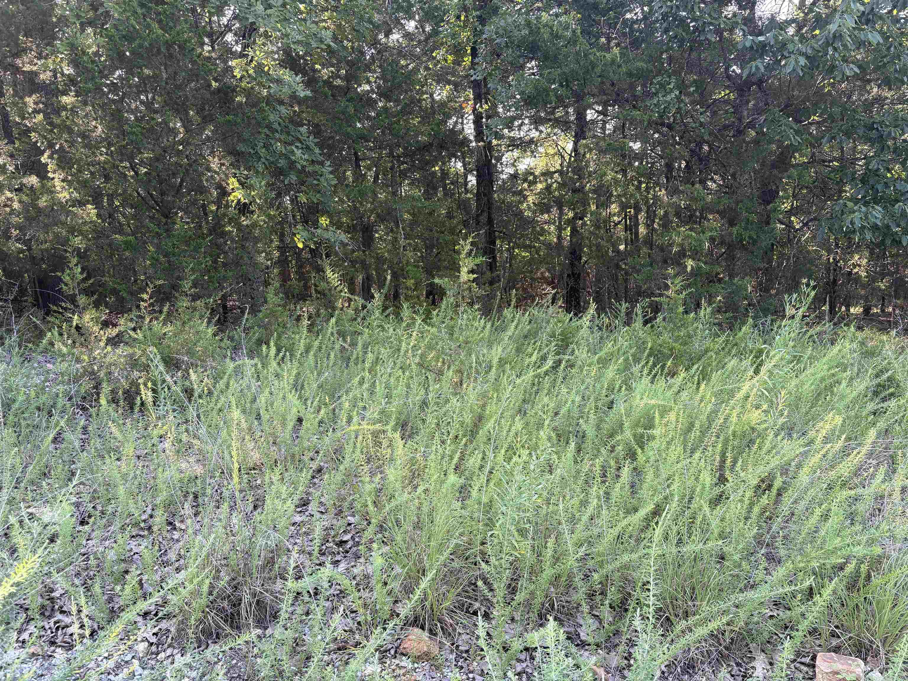 Not in Subdivision - Land