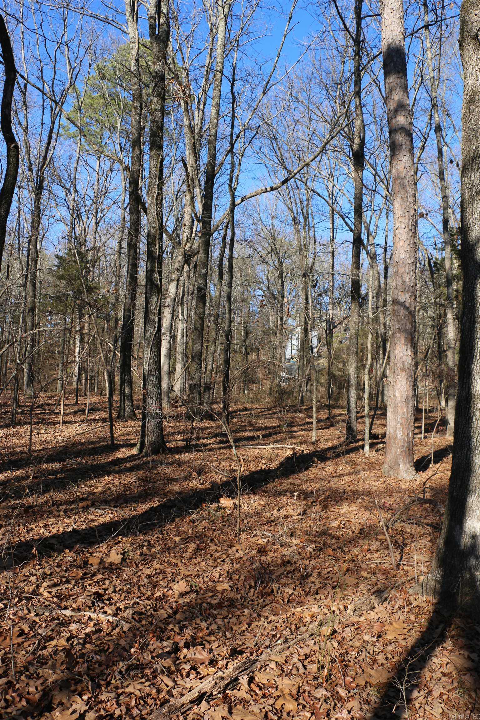 Chelsea Glade - Land