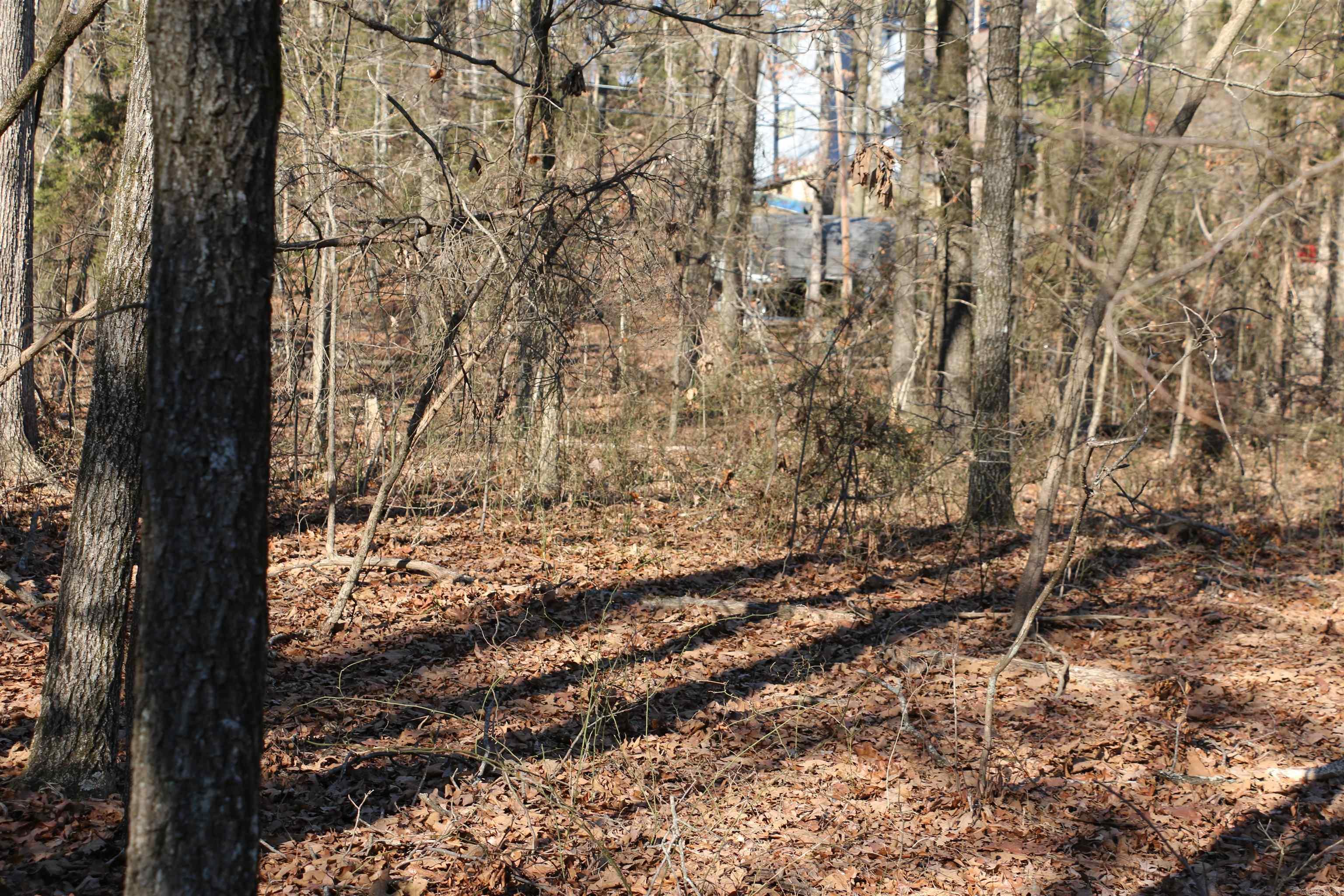 Chelsea Glade - Land