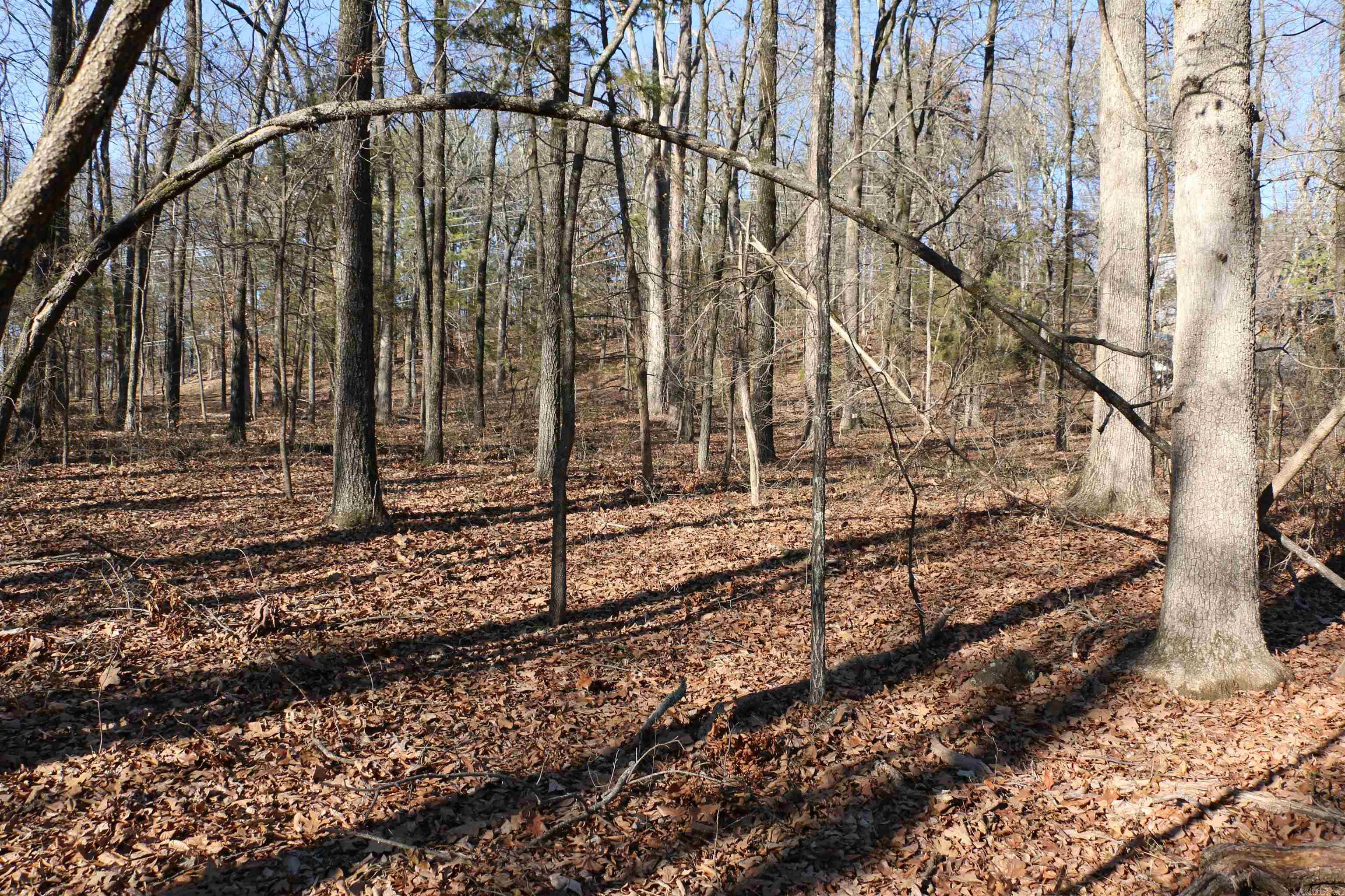 Chelsea Glade - Land