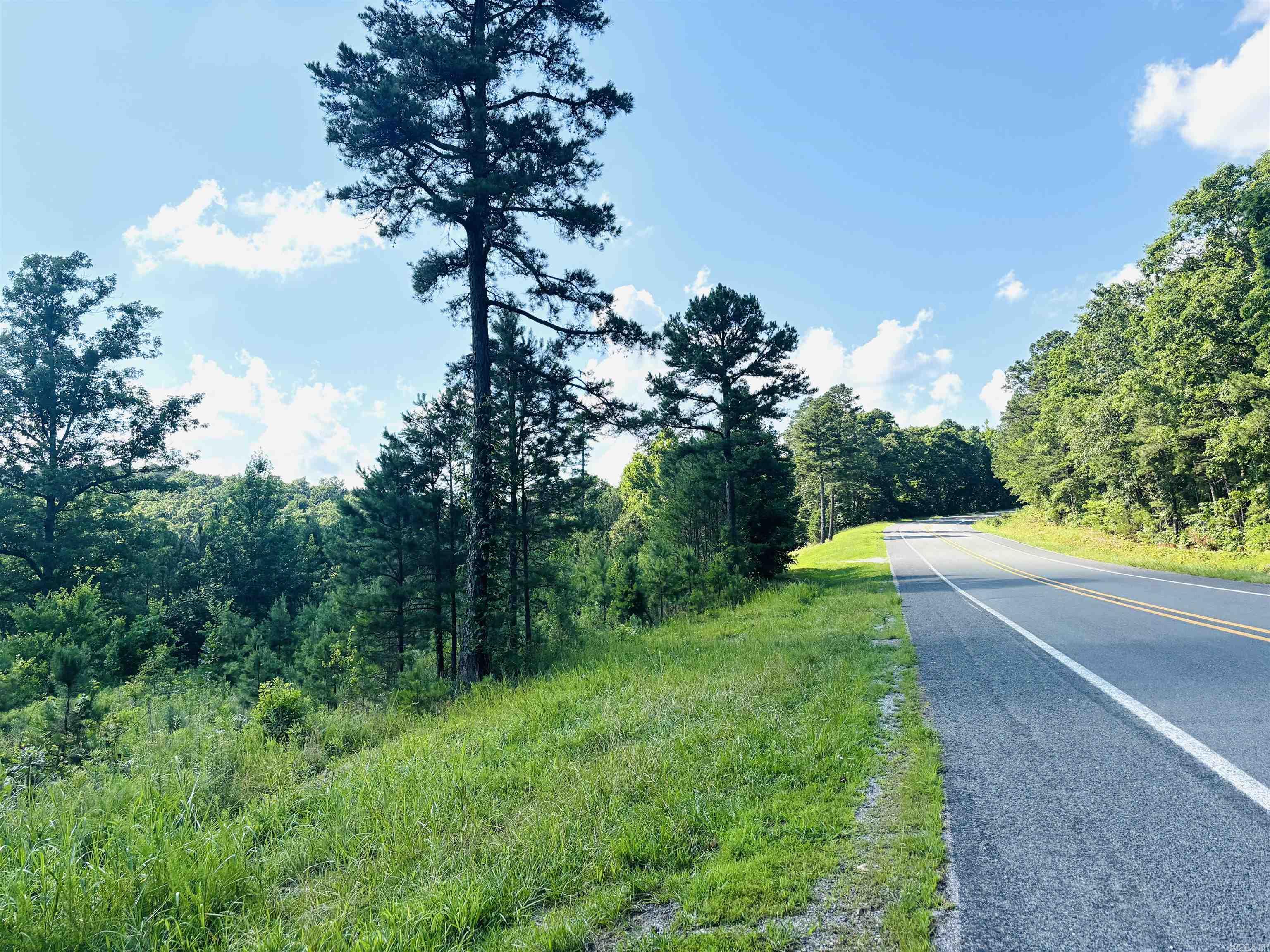Great location in Mountain View just over a mile from White River and minutes from Blanchard Springs Cavern, and thousands of acres for hunting, hiking, and trail riding in the Ozark National Forest! This property is less than a mile and a half from 2 White River fishing resorts and restaurants! Containing 2.7 acres MOL fronting State Highway 14, plus county roads on 2 sides, this location is ideal for constructing a second or vacation home, nightly rental cabins, or pour a pad for your RV. The terrain is mostly sloping with Pine and hardwoods, and some clearing. Power and water are available but not yet onsite. Mountain View and Ozark Folk Center music, eateries, and shopping are also nearby making this a very popular vacation destination. Call today for more info or to set up a time to view!