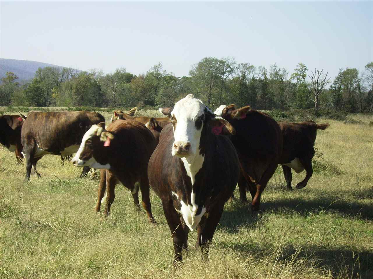 Not in List - Farm
