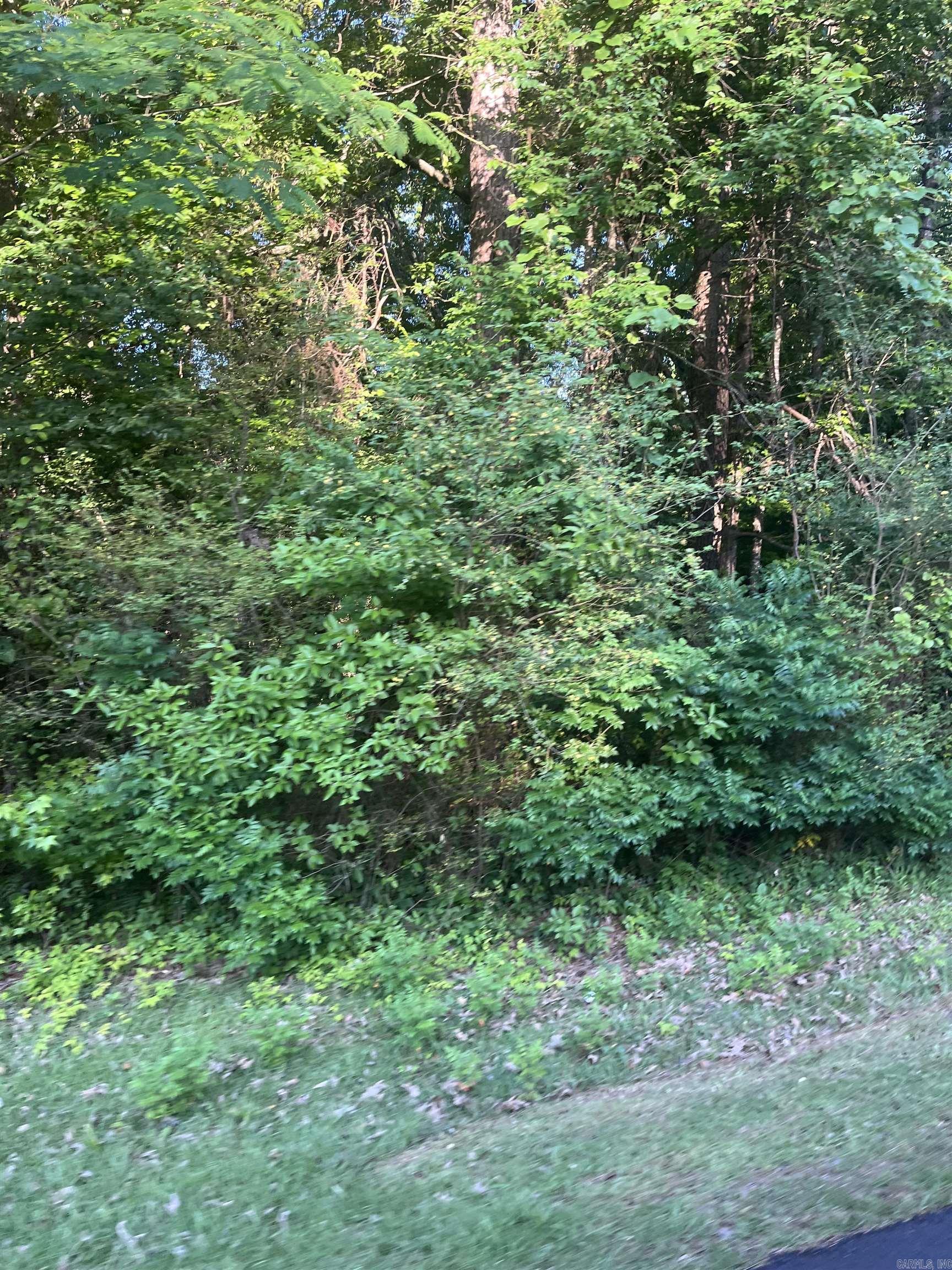 Tanglewood - Land