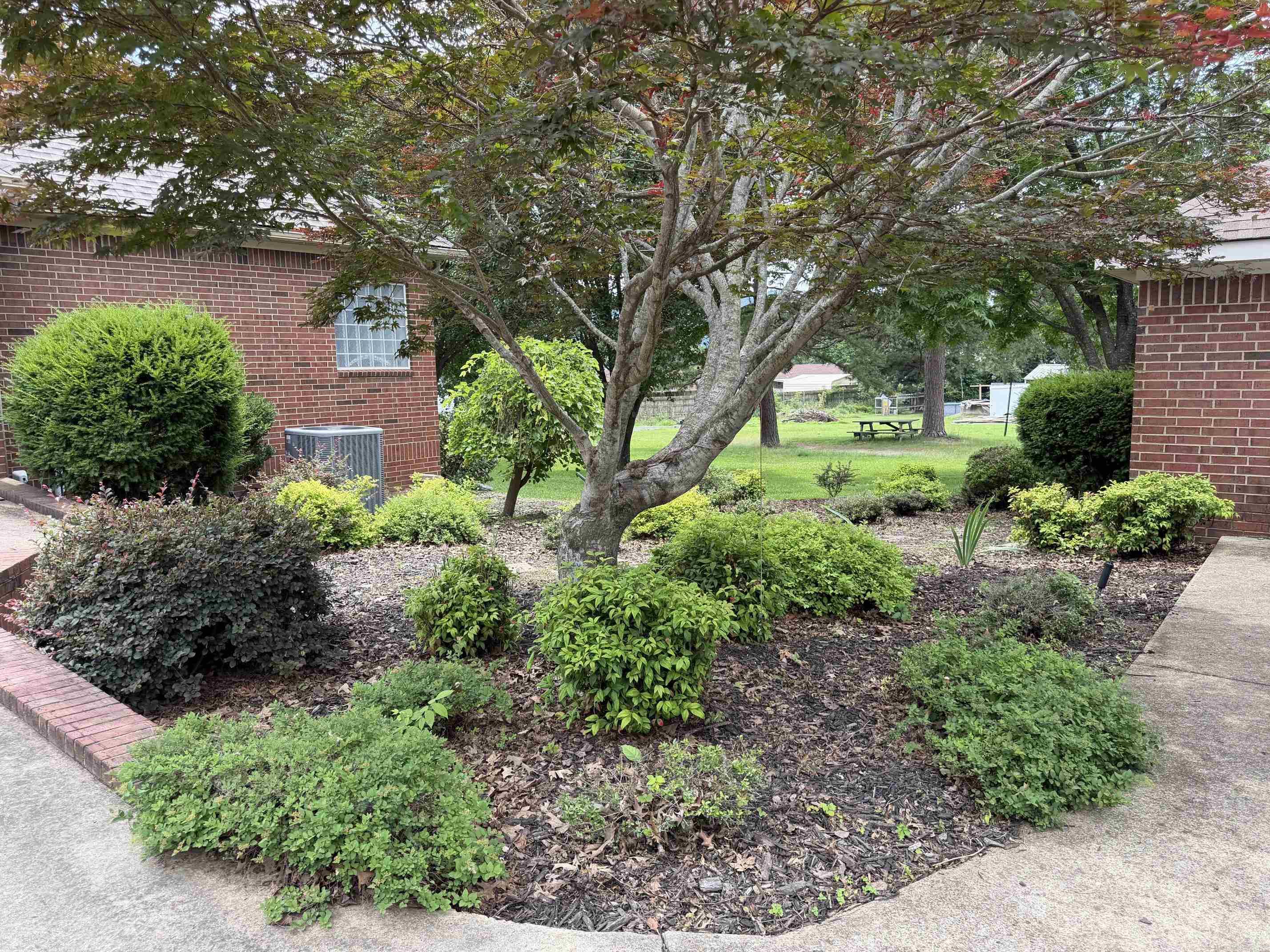 EAST SIDE - Residential
