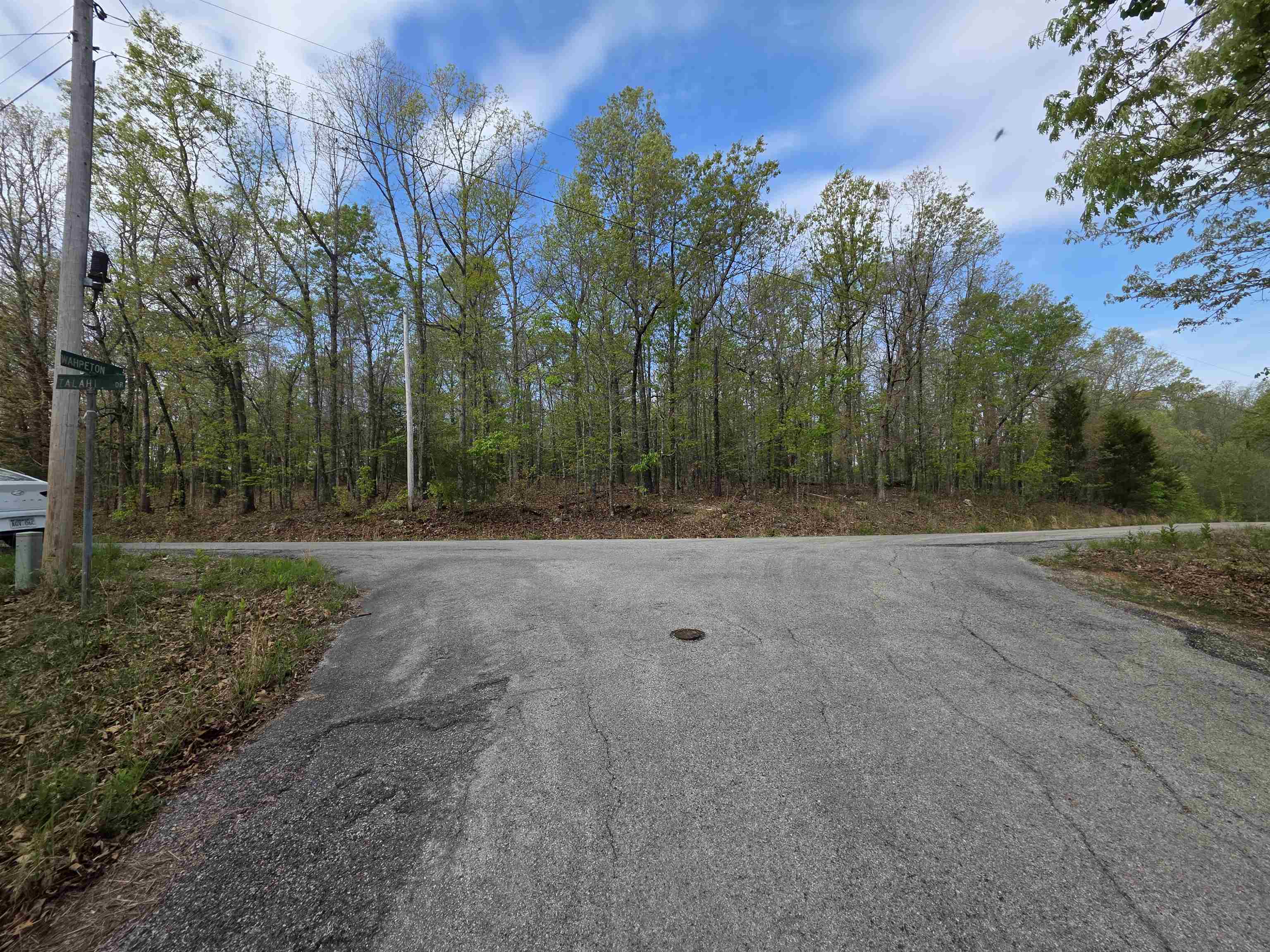 Nice lot, with a gentle front to back upward slope. This lot sits above the road. Lots of trees and lots of nature and wildlife. Come check this lot out, check out the view and see where you want to put your vacation home or your forever home. Very close to the South Golf Course. Retire here and fish 7 different lakes and golf 2 different 18-hole golf courses. Don't forget about the beautiful South Fork River that flows right through the Village. Shop in Old Hardy town and trout fish the Spring River. That's living the Cherokee Village lifestyle. Ownership of this lot gives you access to all of the Cherokee Village amenities.