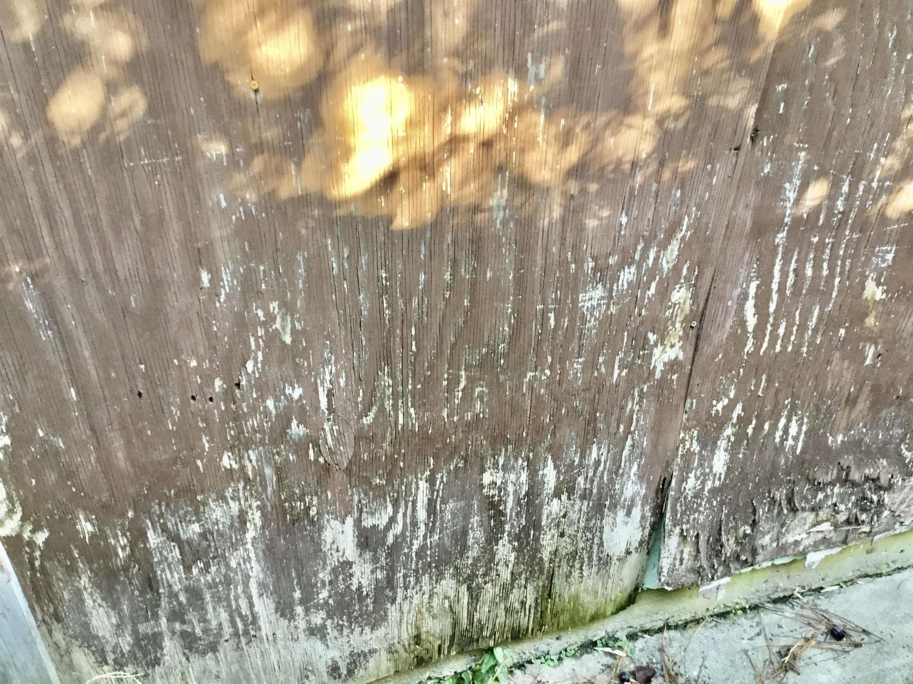 Seals - Residential