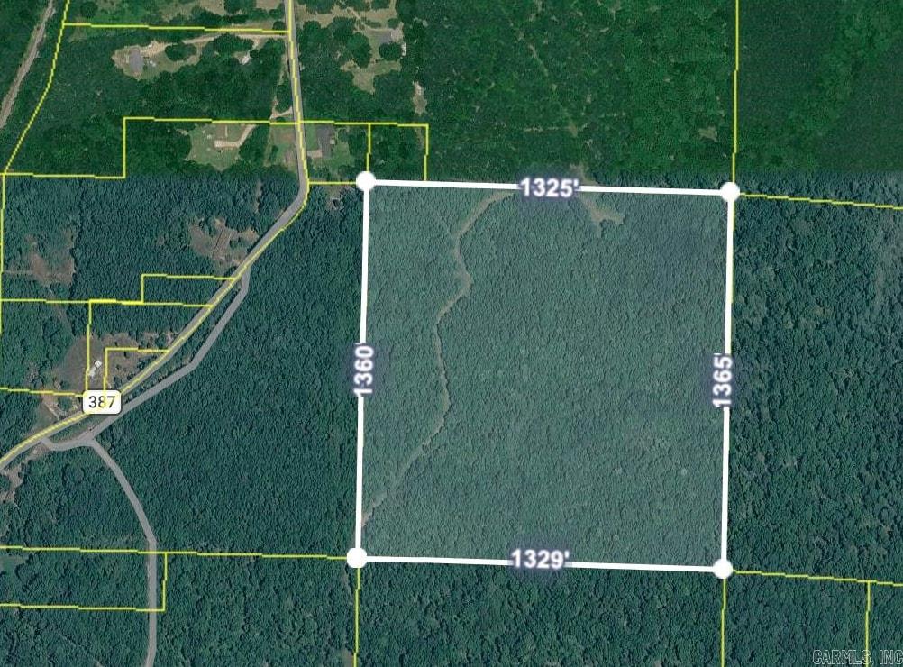 Land! With 40 acres outside of city limits, enjoy the freedom to build your own country estate, expand your agricultural interests, or just let the trees grow for future harvesting.  Located in the desirable Elliott area, and surrounded by mature timberlands and custom built homes, this property offers versatile use.  Mobile homes, livestock endeavors, and hunting are permitted on the land.