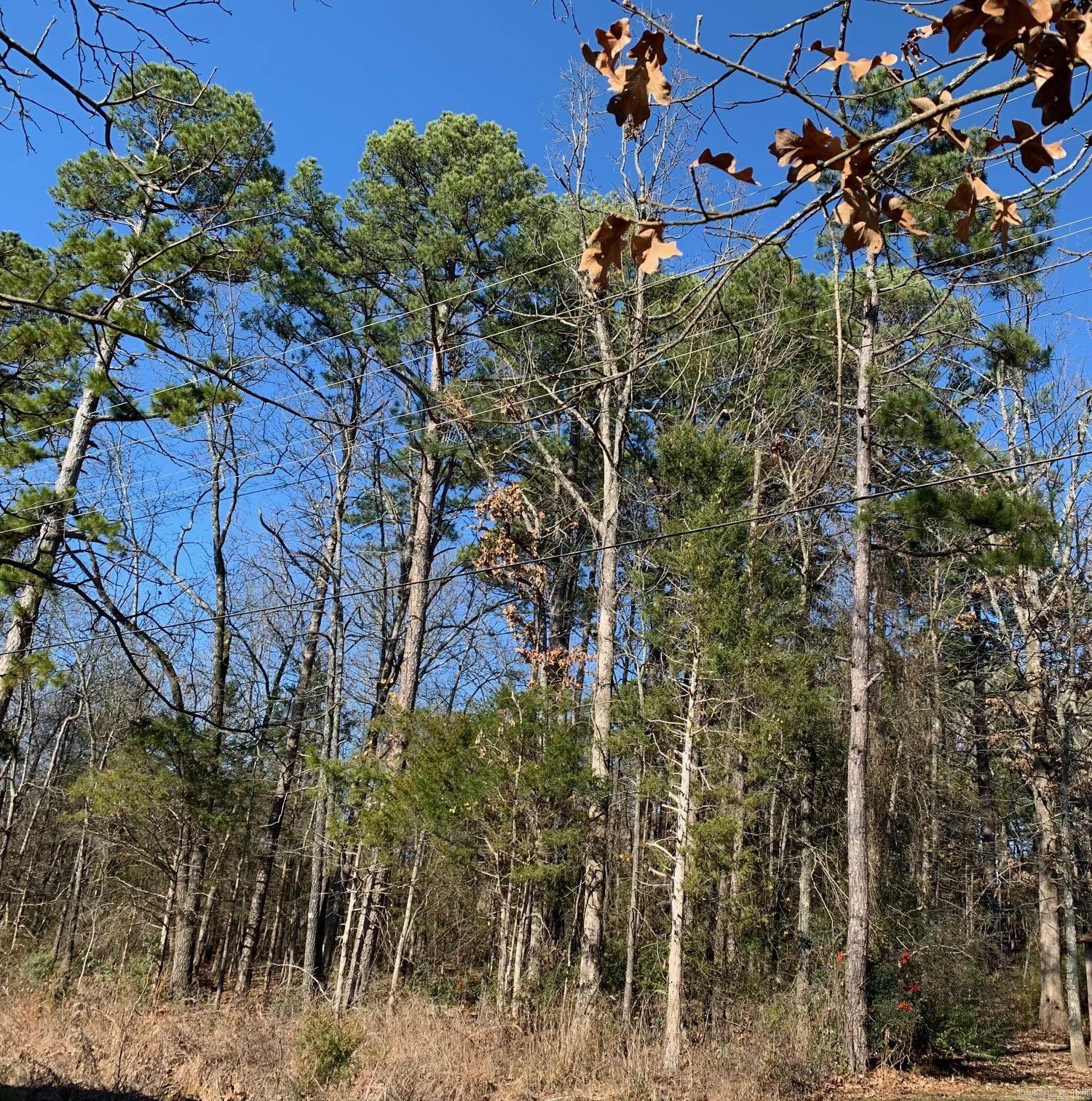 Tree covered Lot located right in the middle of town.  Greer's Acres Subdivision is a platted subdivision with few houses and Thelma Street hasn't been cleared or grated. According to the Heber Springs Planning & Zoning office there is legal access to this lot and the lot is zoned Residential.
