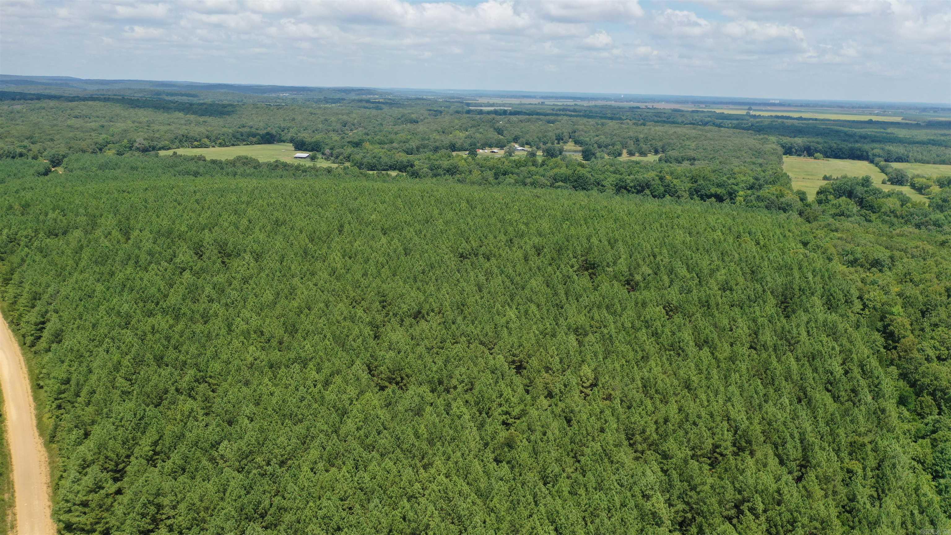 Investors get ready! Here's 280 acres of Tall Pines!  approx 76 acres is ready to be thinned now, rest in a few more years then back for 2nd cutting.   This land is being sold with all the harvestable timber on it, as it sits the day you see it. Has lanes in and around it, call today lets take a ride.  Possible Owner financing. However sellers must approve any changes to the property. Call agent today for details on this opportunity before its to late!
