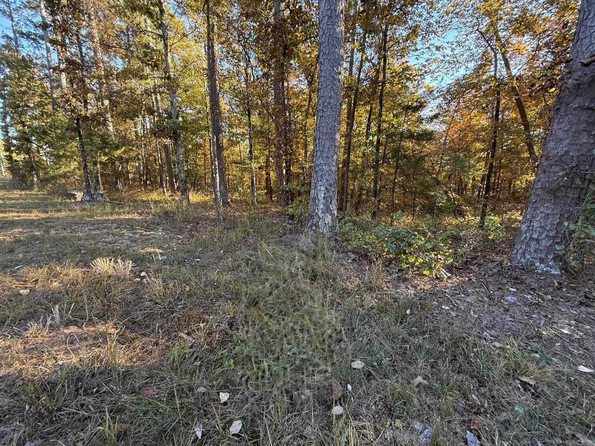 Prime 1.77 acre commercial parcel located in the heart of Hot Springs Village, offering an exceptional opportunity to establish your business in one of the community’s newest commercial areas. Perfectly positioned for convenience—just minutes from both the East and West Gates—this 1 3/4 ac lot ensures space for easy access for residents, visitors, and vendors alike. Surrounded by established amenities, golf courses, and growing residential neighborhoods, this location captures daily traffic from locals and tourists exploring the Village’s lakes, trails, and recreation centers. With limited opportunities available for future commercial development, this parcel is ideal for retail, professional offices, dining, or service-based enterprises seeking visibility and accessibility. Take advantage of the Village’s continued growth and the demand for new businesses in this thriving, centrally located corridor. A rare chance to build your vision in Arkansas’ premier gated community!
