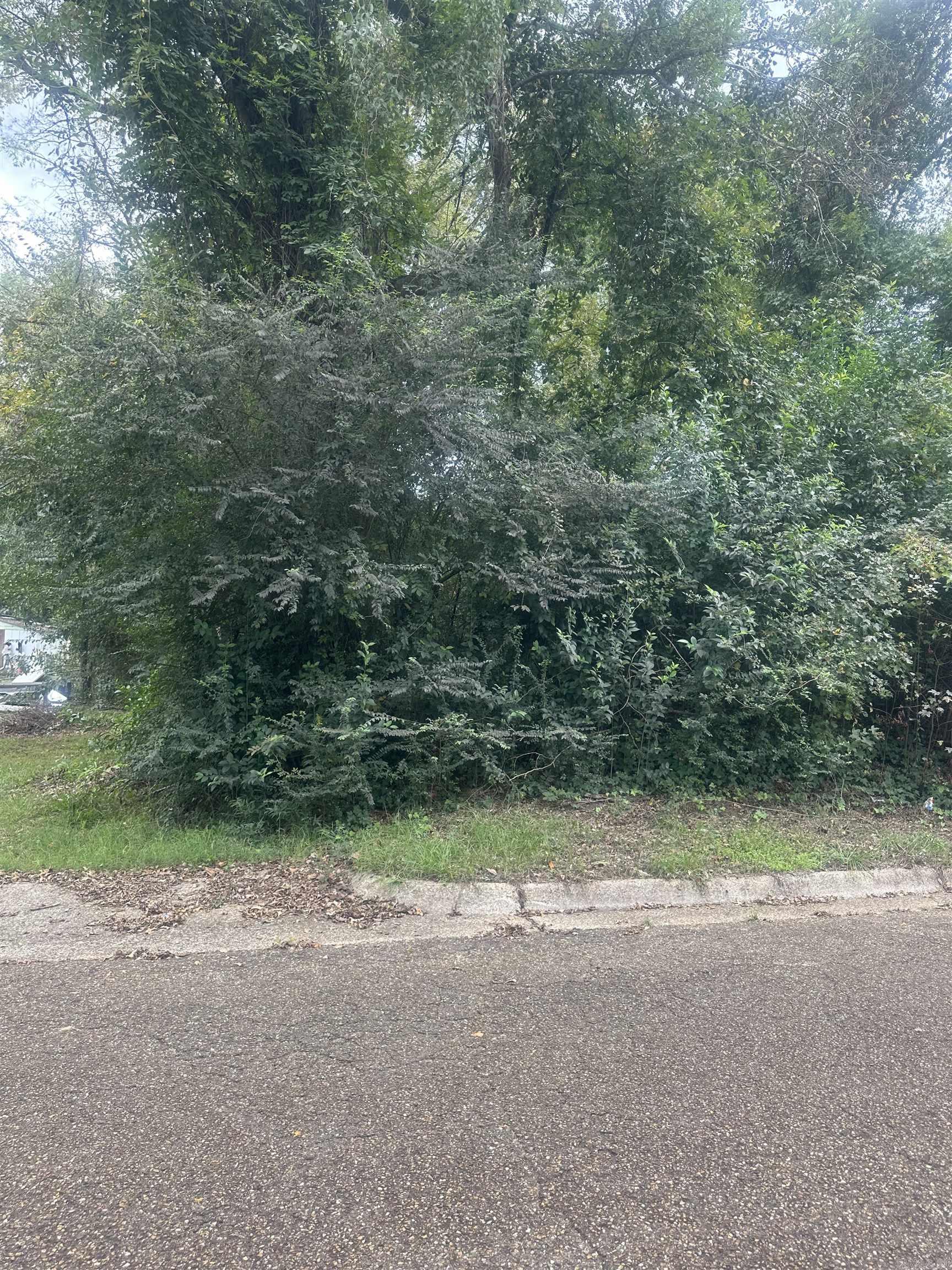 Enjoy the convenience of city living while still having your own private space to create what you’ve always envisioned. Whether you’re looking to build now or hold for future use, this lot offers versatility and value in a great location!
