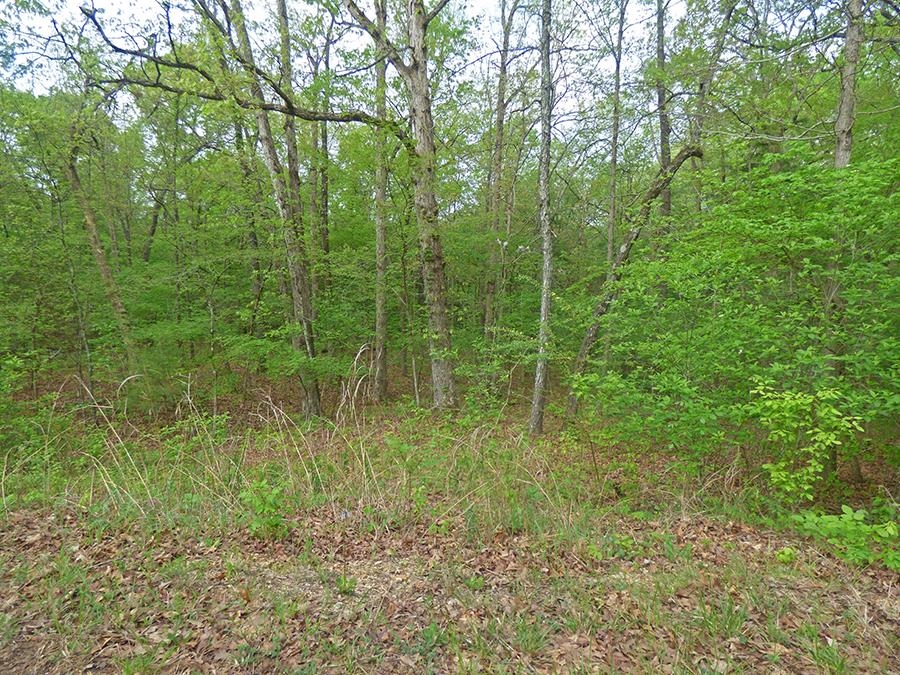 These undeveloped side by side lots are being sold as a pair. The two total 1.5 acres in size.  Nice neighborhood to build your dream home.