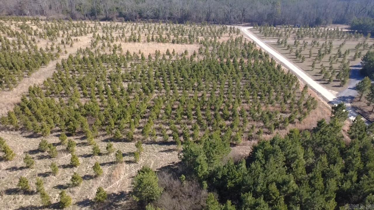 4.54 CLEARED ACRES NEAR LAKE WILHELMINA! Ready to build? This beautiful 4.54-acre tract with mountain views is already cleared and level, making it the perfect spot for your dream home, cabin, or weekend getaway! Located just minutes from Lake Wilhelmina, you’ll enjoy easy access to fishing, boating, hiking, and all the outdoor fun the area is known for. Whether you’re planning to build now or invest for the future, this property offers the space, location, and potential you’ve been looking for. Survey on file. Don’t miss this opportunity—land this close to the lake doesn’t last long!