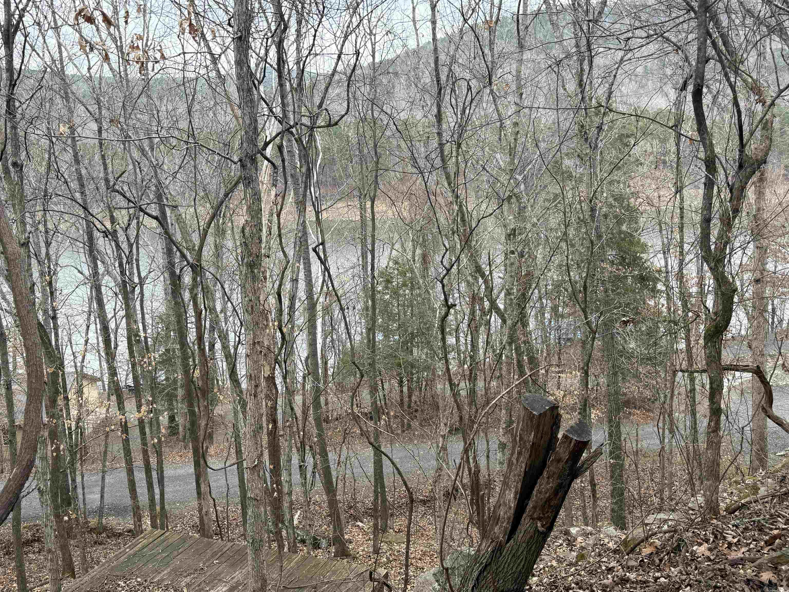Frontier Canyon-Lake - Residential