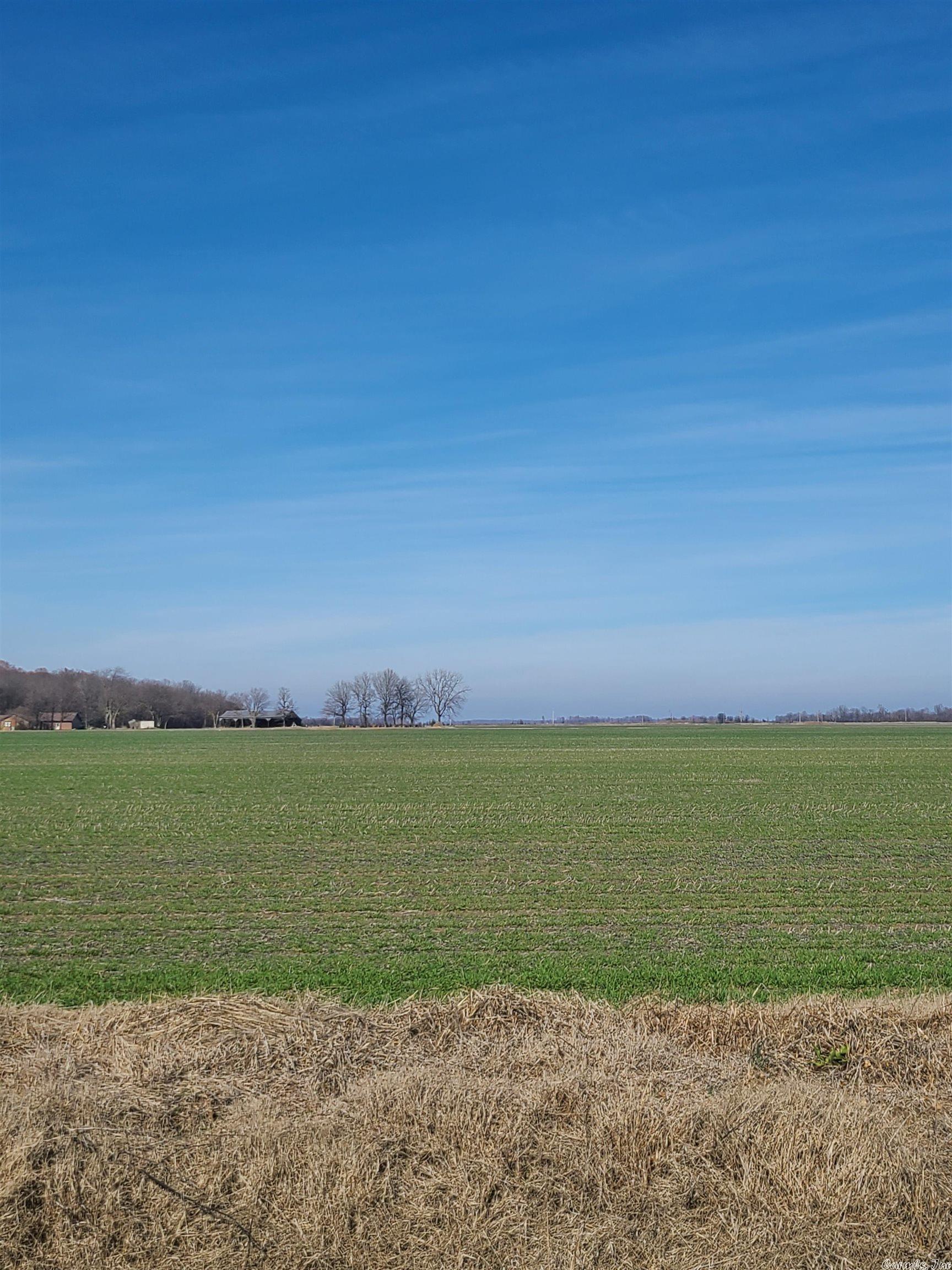 TSR - Farm