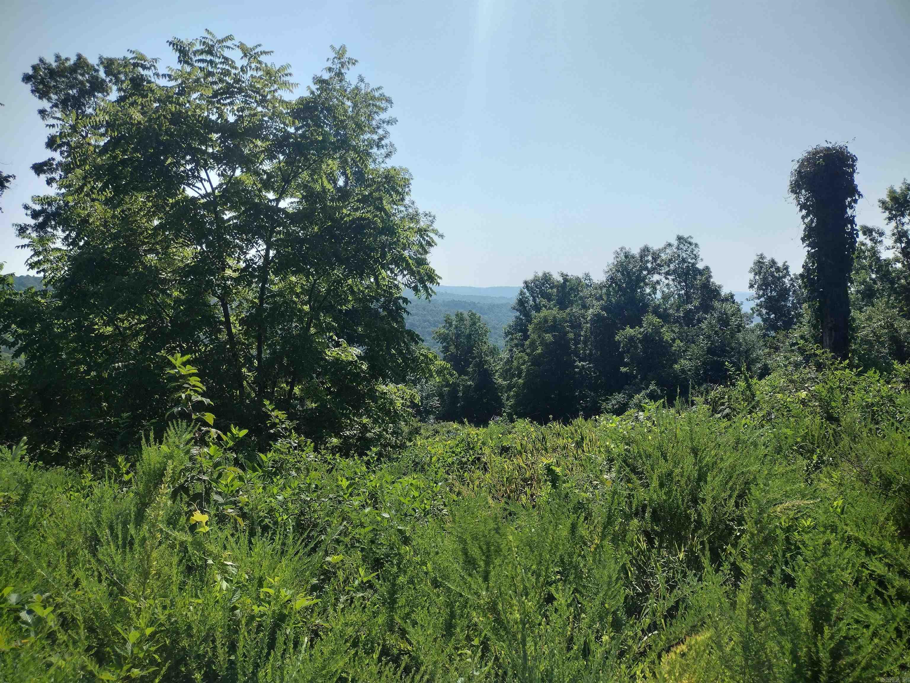 Nice lot with Views overlooking Timbo valley make a great place to build your dream home has power and public water available to property