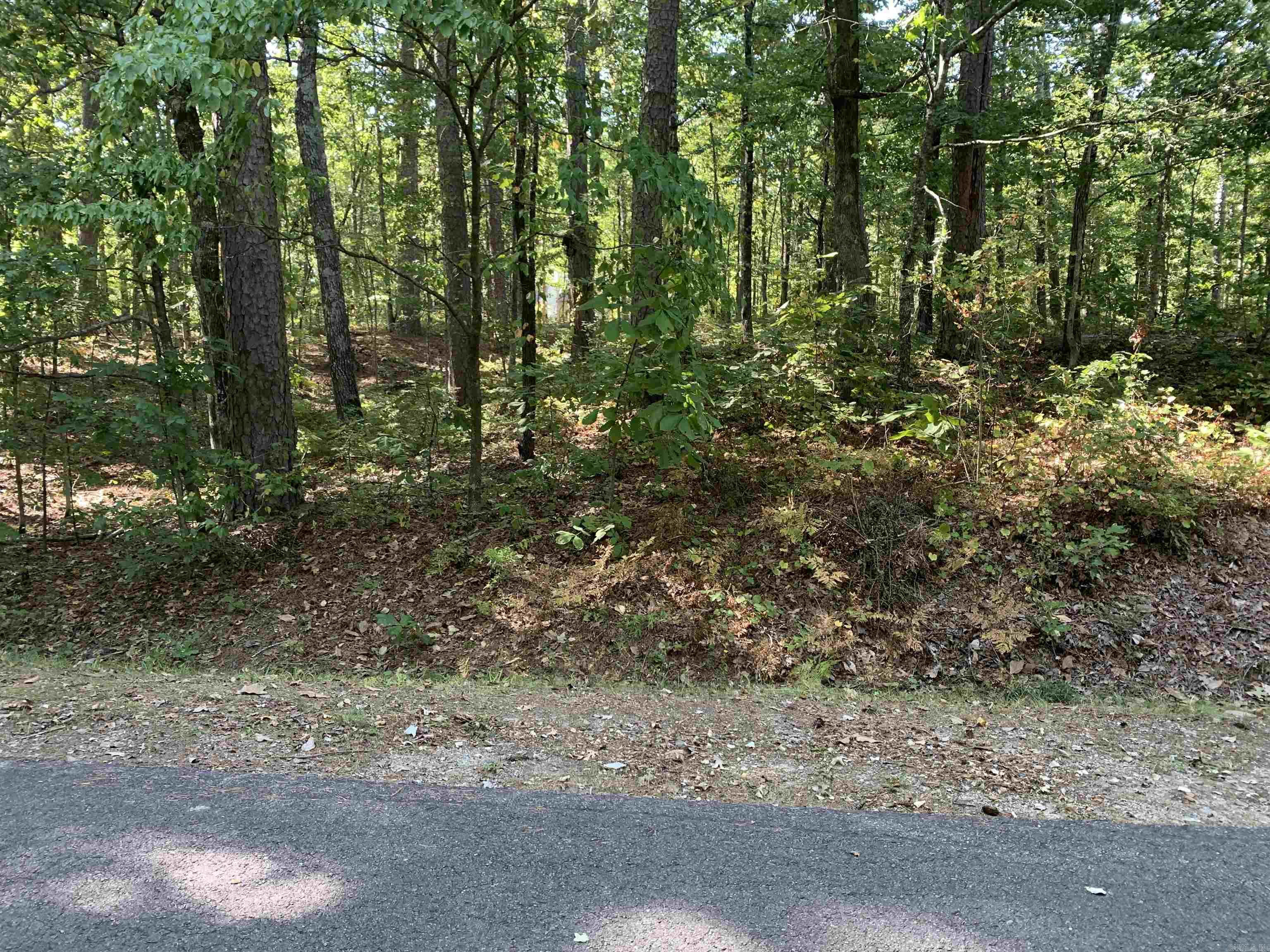 Beautiful East side building lot in Hot Springs Village common to Lake Balboa. Make this one yours and begin enjoying all the Village amenities. New buyers to the Village have a $300.00 buy in fee payable to the POA at closing.
