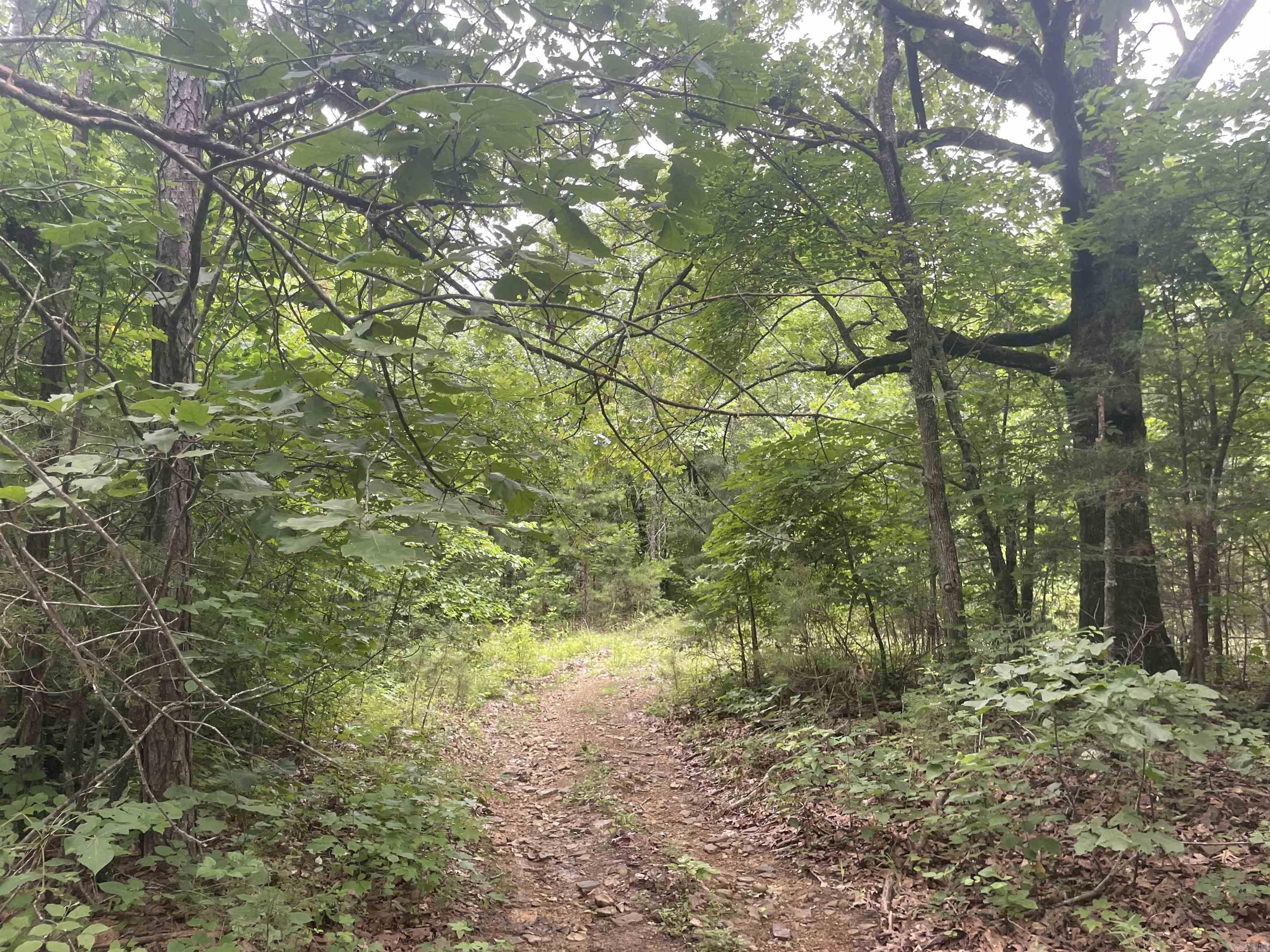 Looking for a place to run to the mountains? Here's your opportunity to own 16.68 acres of secluded mountaintop property in the Arkansas Ozarks. Situated at approximately 1,520 feet in elevation, this heavily wooded tract offers the privacy and seclusion outdoor enthusiasts crave. Whether you're seeking a hunting retreat, recreational getaway, or future homestead, this property provides the perfect escape. The surveyed property features mature timber, abundant wildlife habitat, and multiple potential cabin or homesites. Enjoy hunting, hiking, exploring, and seasonal views stretching toward Missouri from the Ozark mountaintop. The north property line adjoins a 24.43-acre tract that is also available for purchase, creating a rare opportunity to own a total of 41.11 acres of remote mountain land in Van Buren County. Come experience the beauty, freedom, and potential of the Arkansas Ozarks.