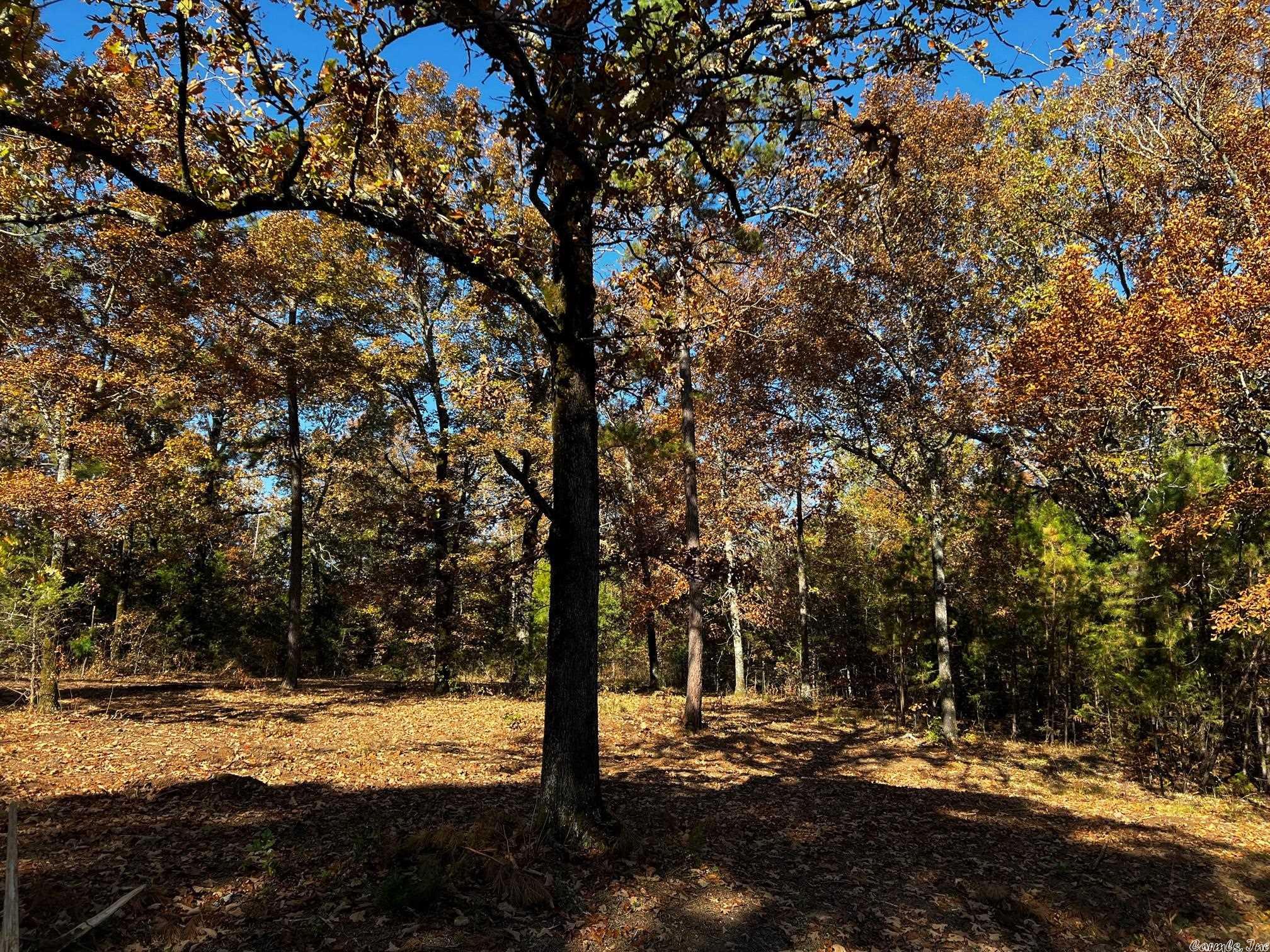 Little Red River Estates - Land
