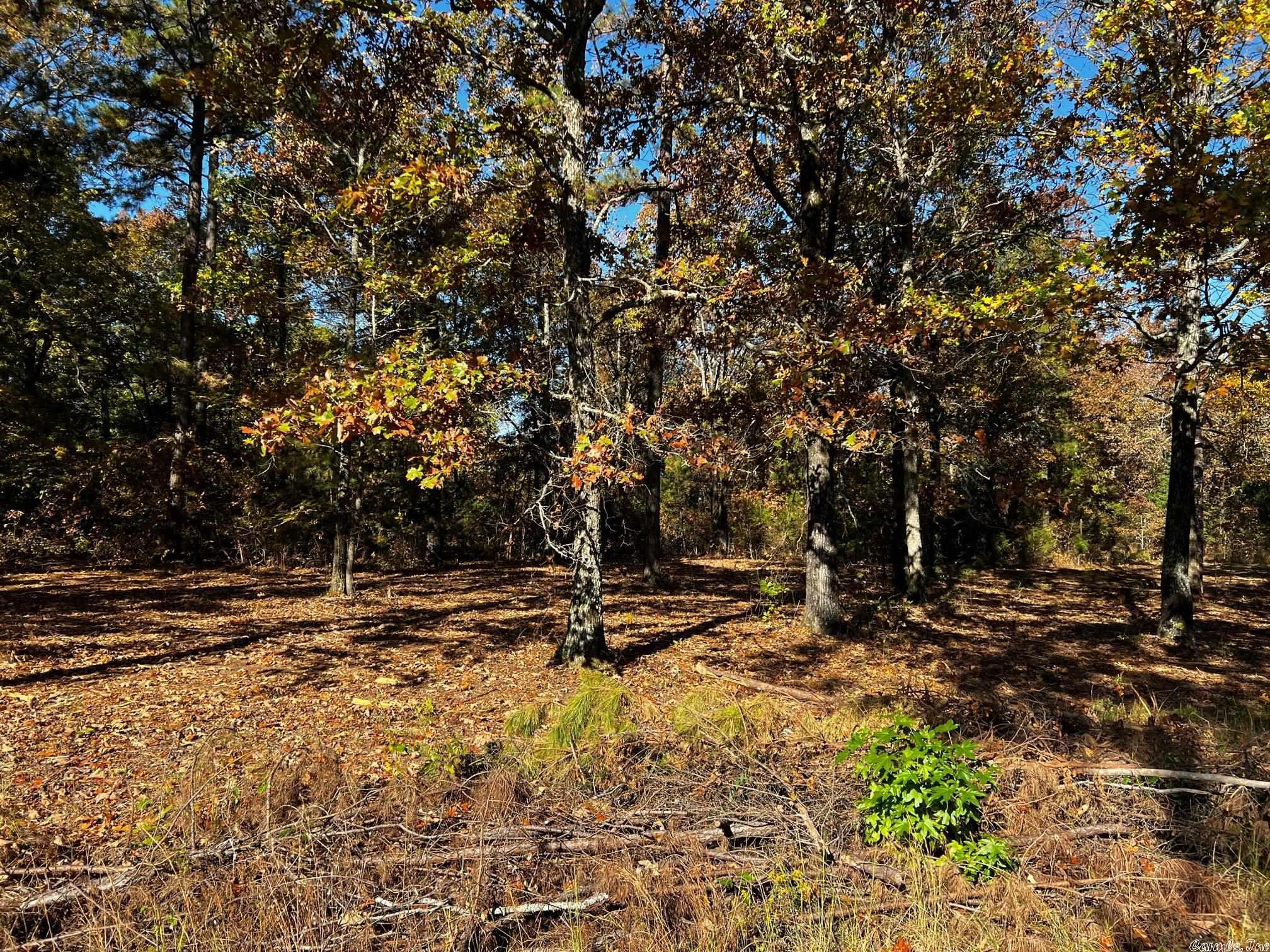 One of the few lots available in Little Red River Estates situated above the Little Red River just North of the Searcy city limits. The lot has been cleared of underbrush and is ready to be built on and sits toward the end of a undeveloped culdesac. Utilities are available at the property. It doesn't get much prettier or more quiet than this.