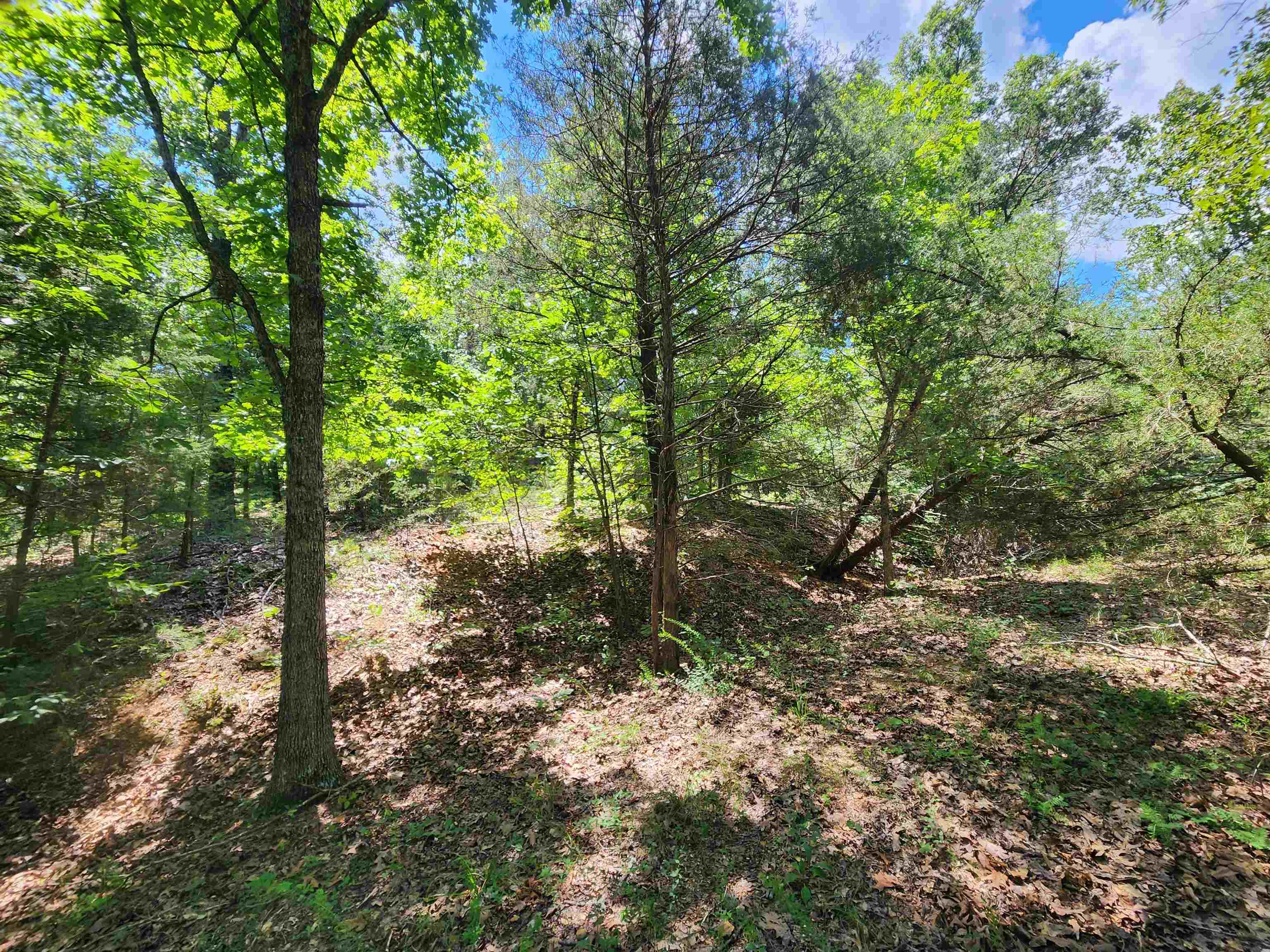 Cherokee Village - Land
